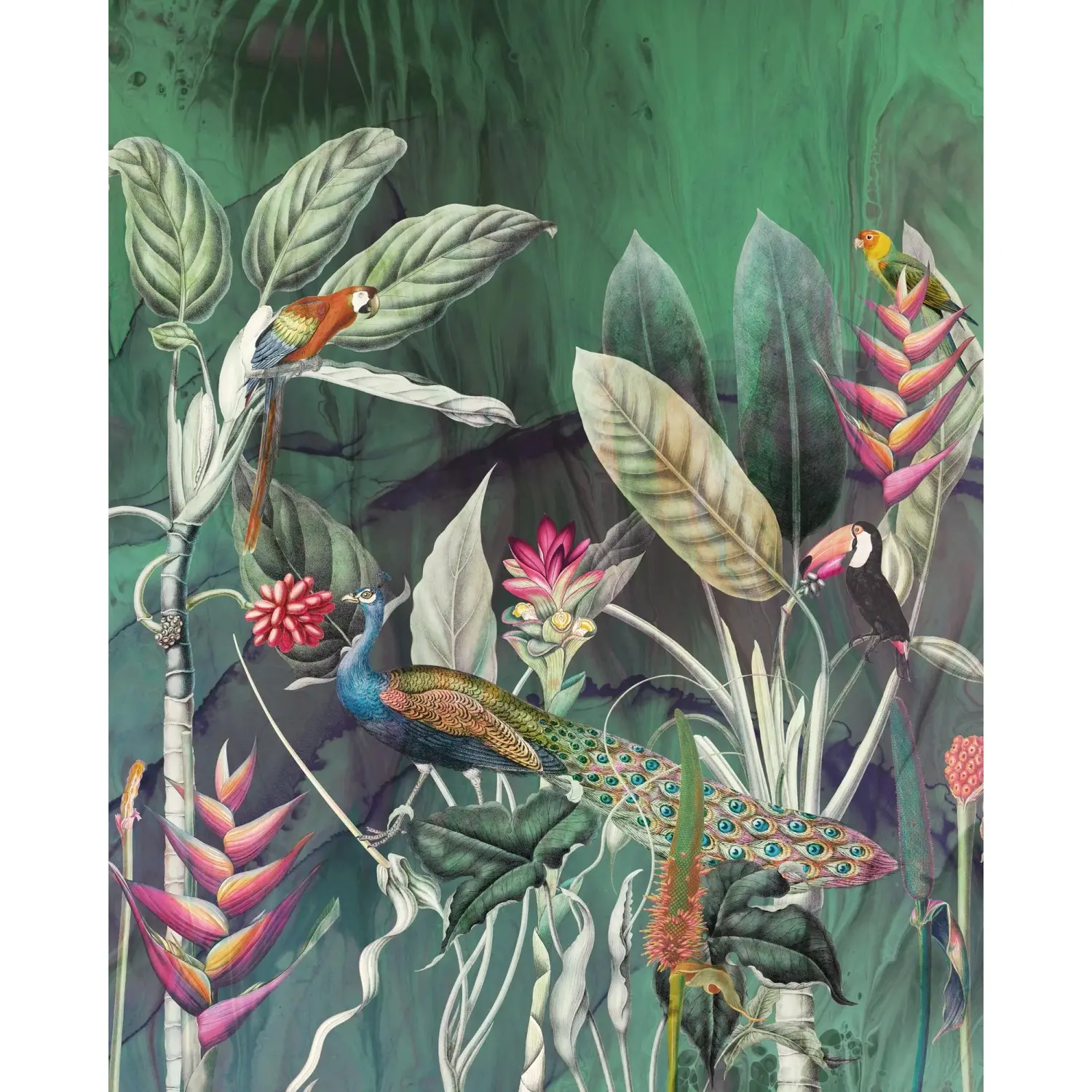 Komar Vliesová fototapeta Jungle Chat 200 x 250 cm