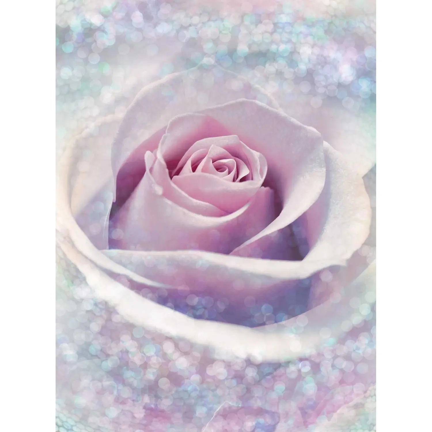 Komar Vliesová fototapeta Delicate Rose 200 x 260 cm