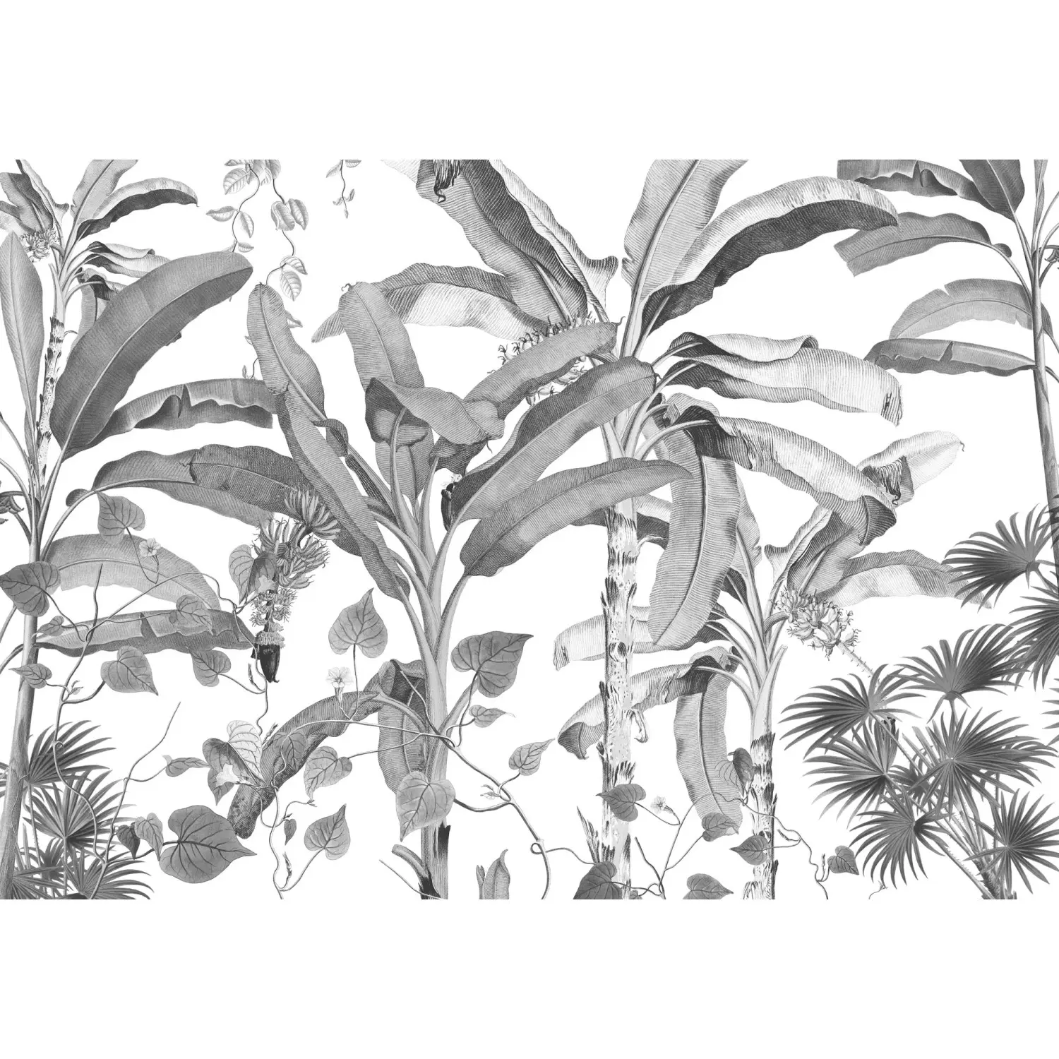 Komar Vliesová fototapeta Croissances Monochrome 400 x 280 cm