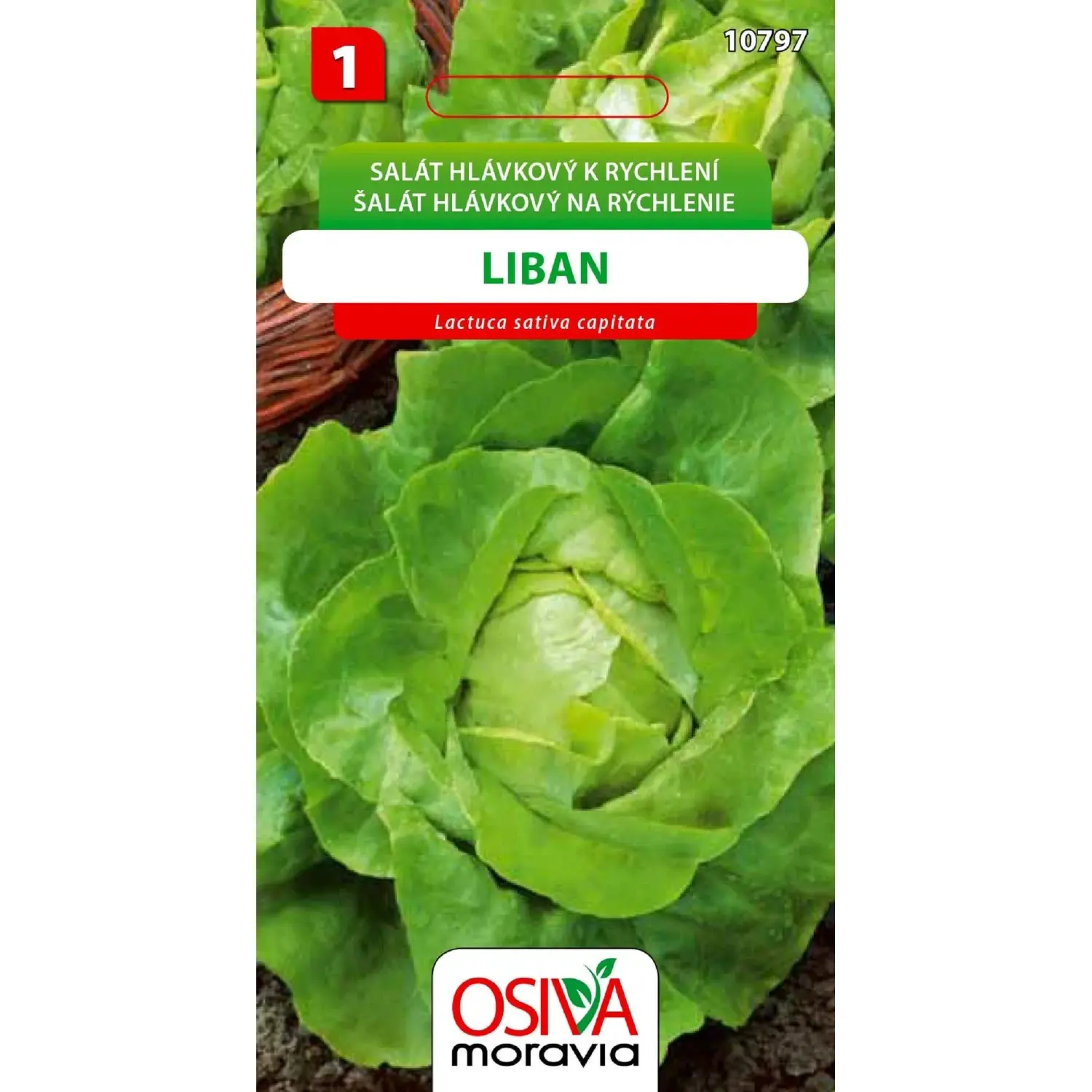 Osiva Moravia Salát hlávkový  Liban