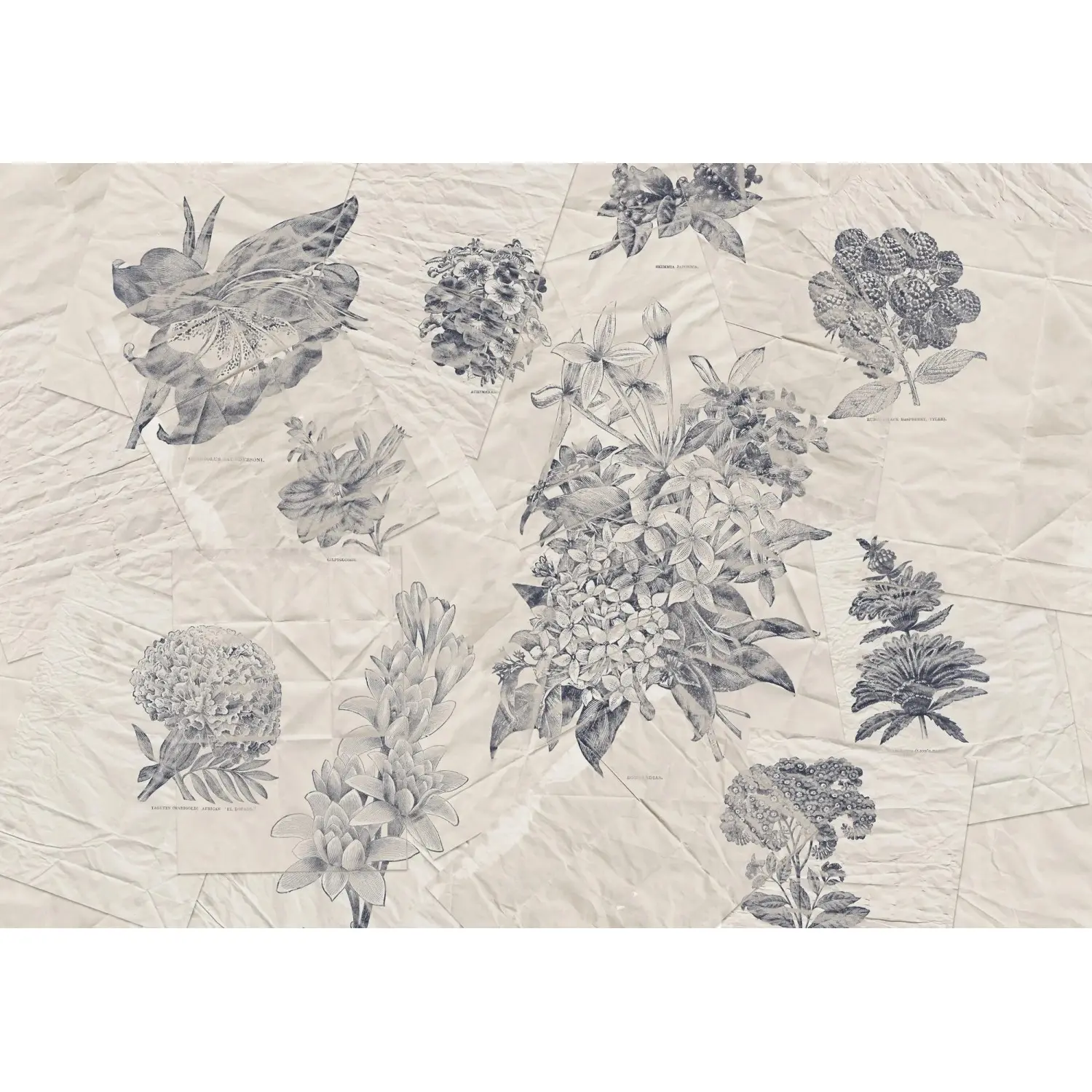 Komar Vliesová fototapeta Botanical Papers 400 x 280 cm