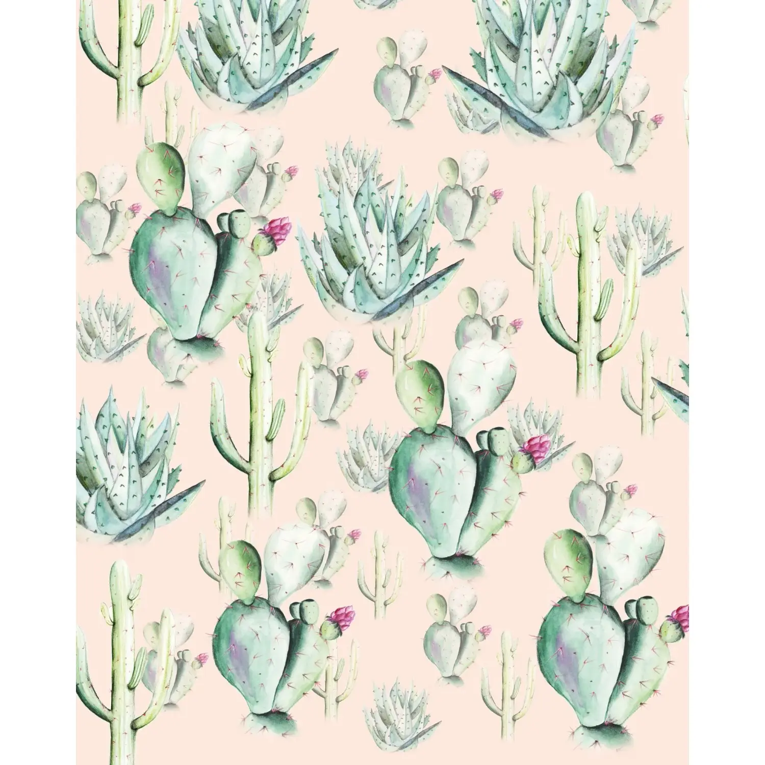 Komar Vliesová fototapeta Cactus Rose 200 x 250 cm