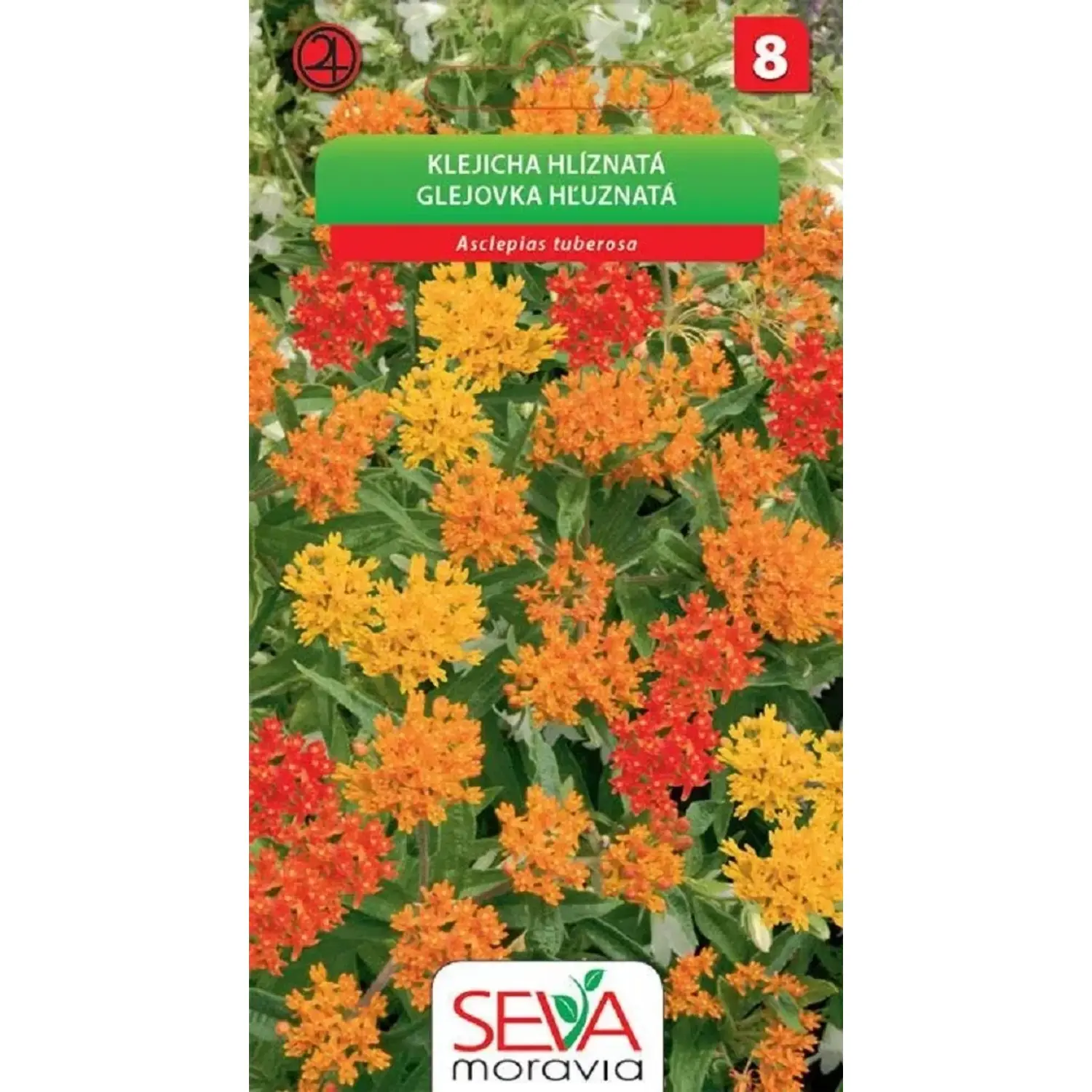 Semínka Klejicha hlíznatá (Asclepias tuberosa)
