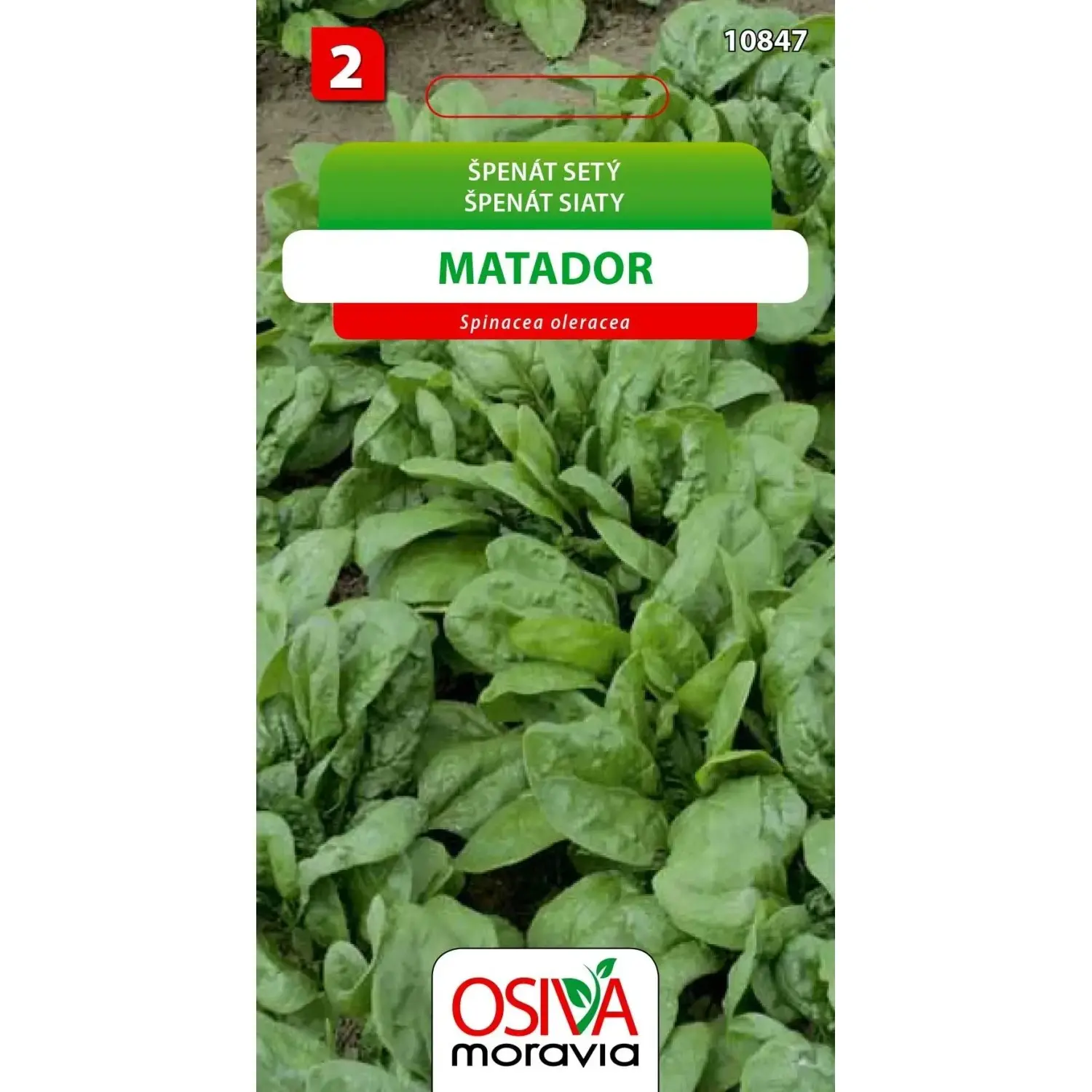 10847 Špenát Matador 8g / 3202