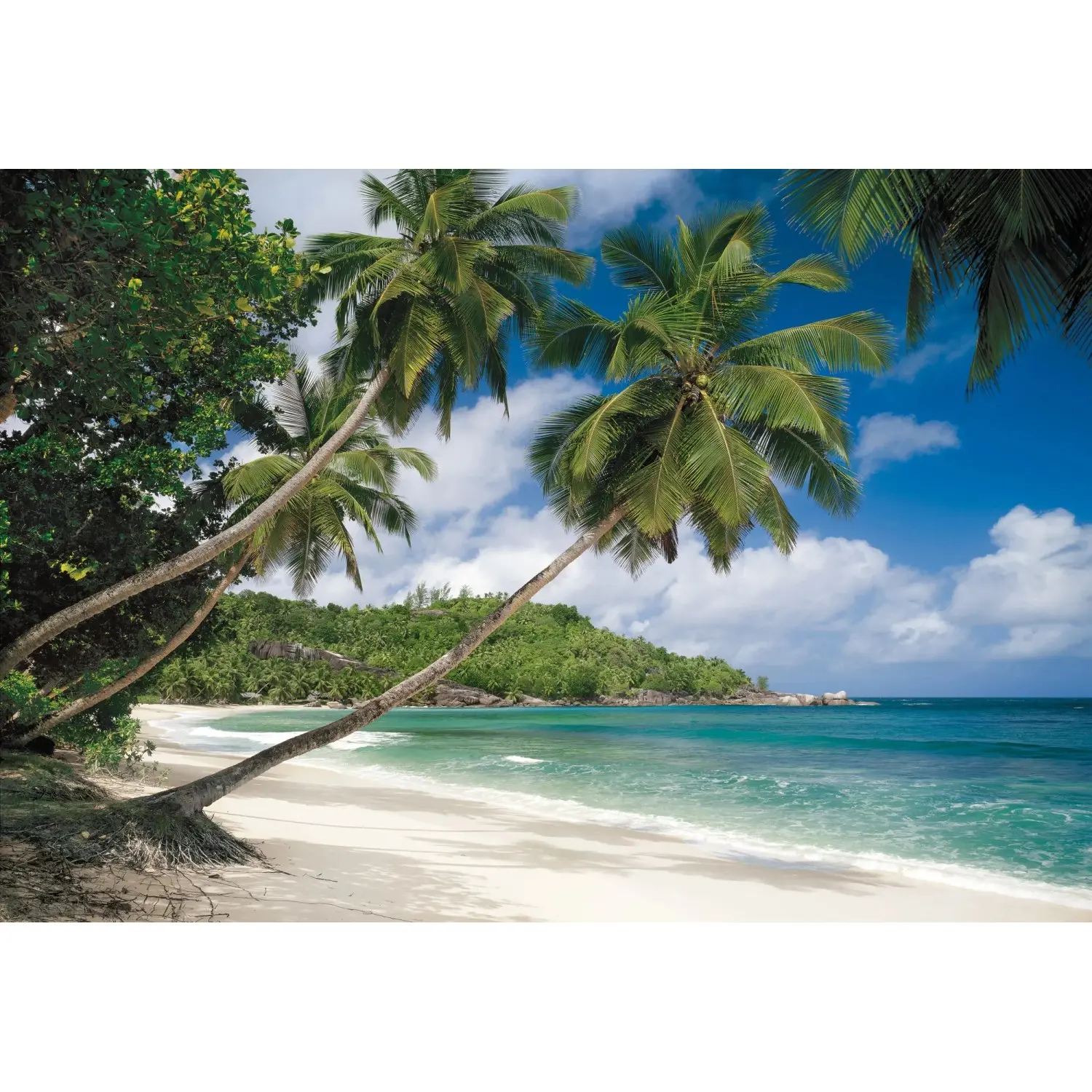 Komar Papírová fototapeta Tropical Sea 368 x 254 cm