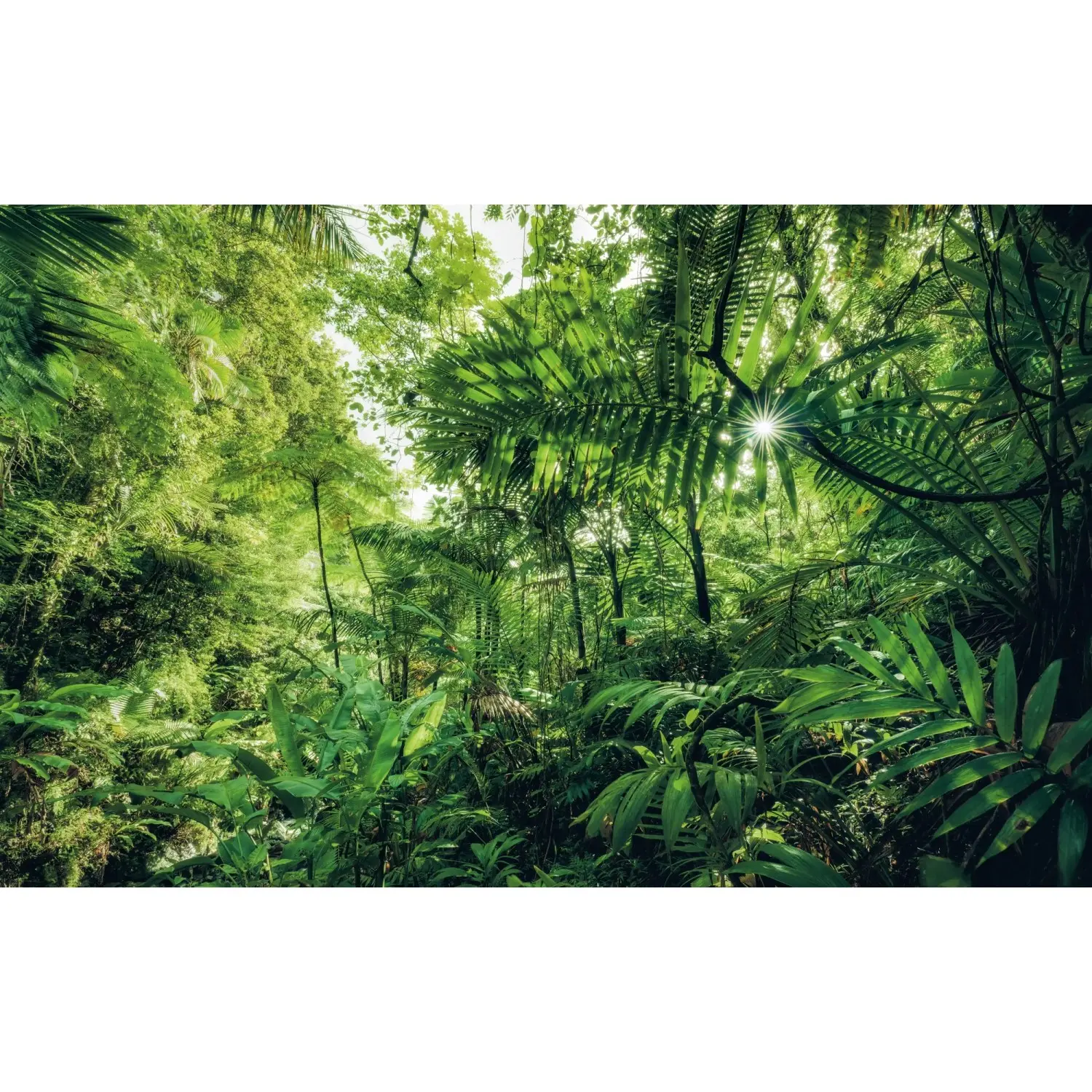 Komar Vliesová fototapeta Into The Jungle 400 x 250 cm