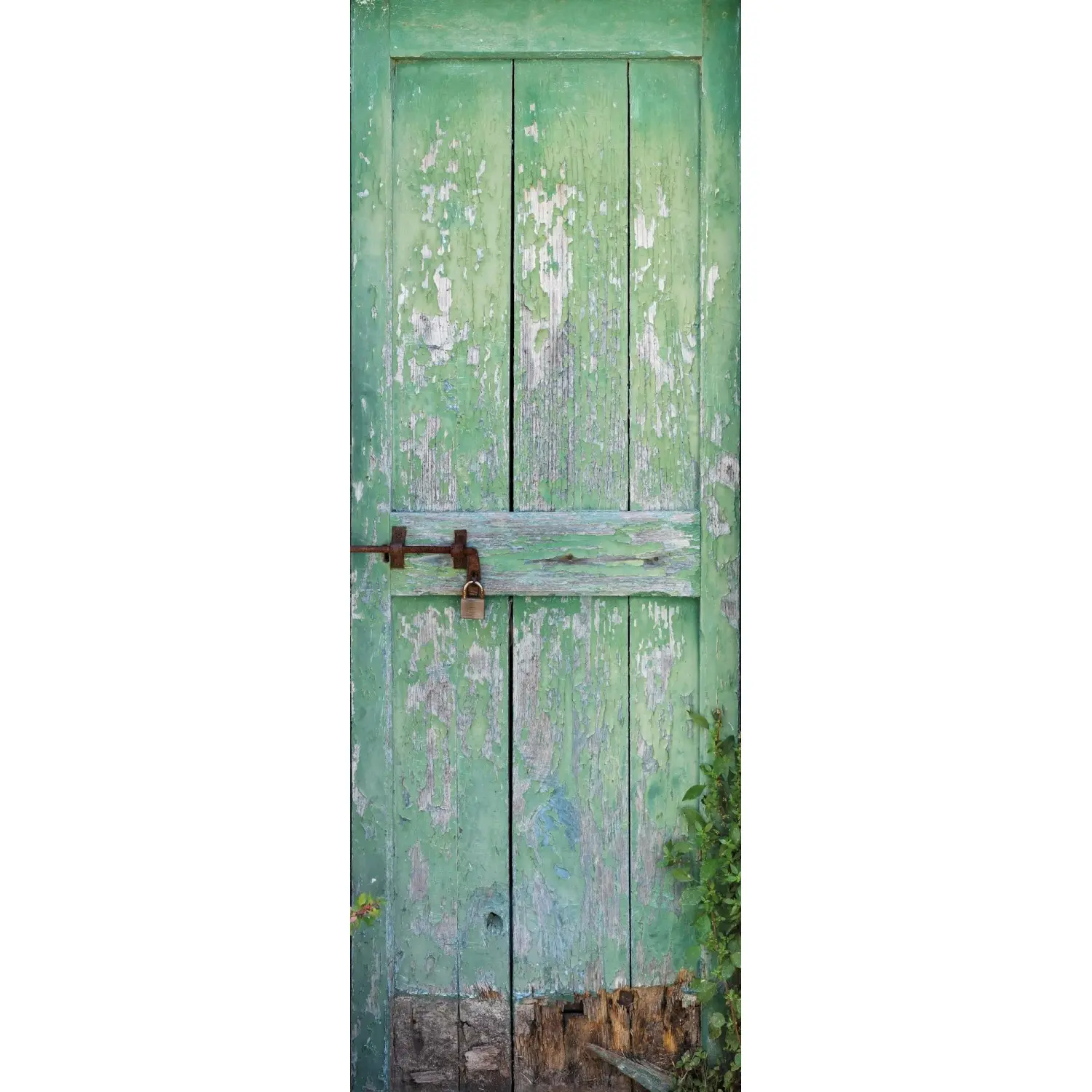Komar Vliesová fototapeta Garden door 100 x 280 cm