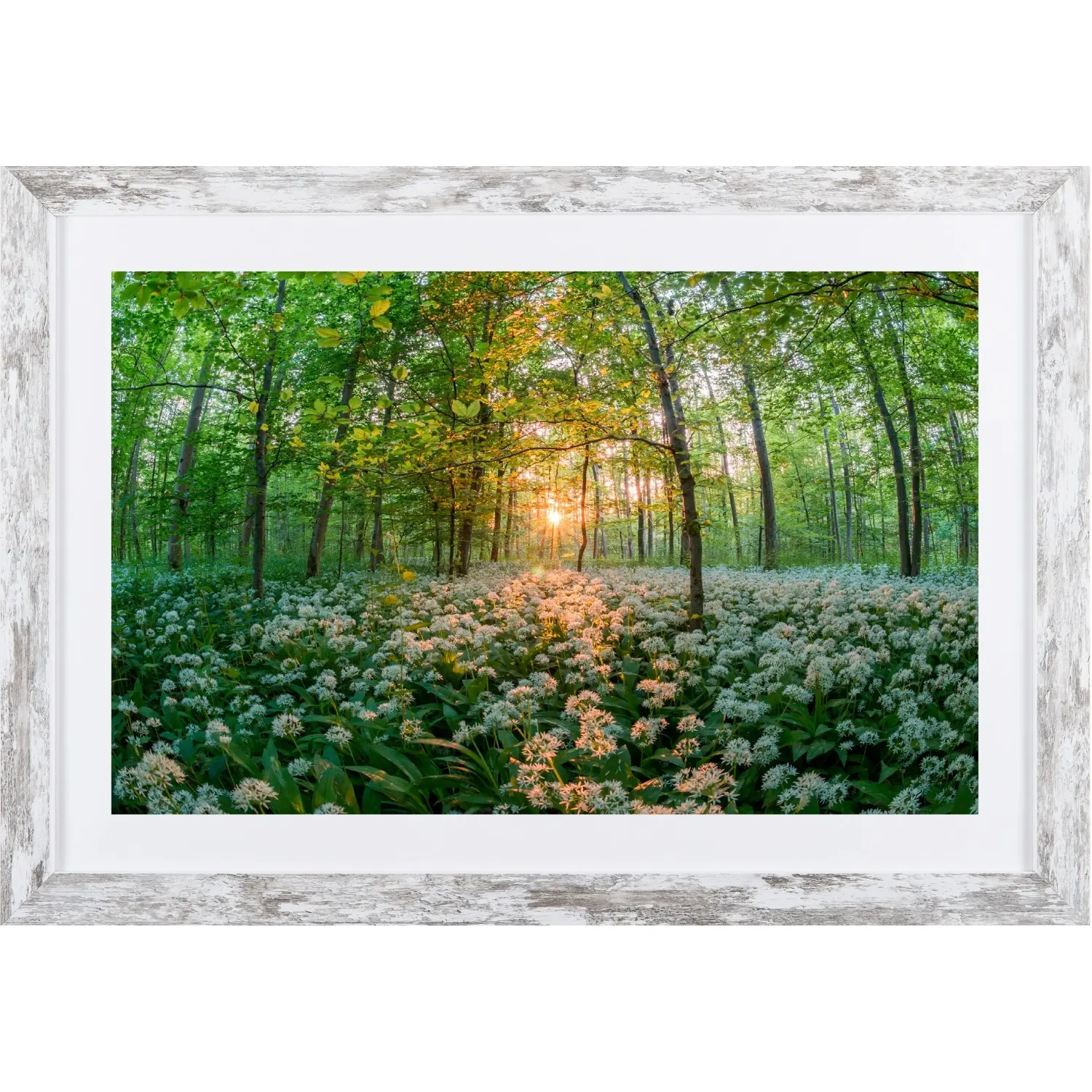 Bondecor Obraz v moderním rámu Sun 37 x 53 cm