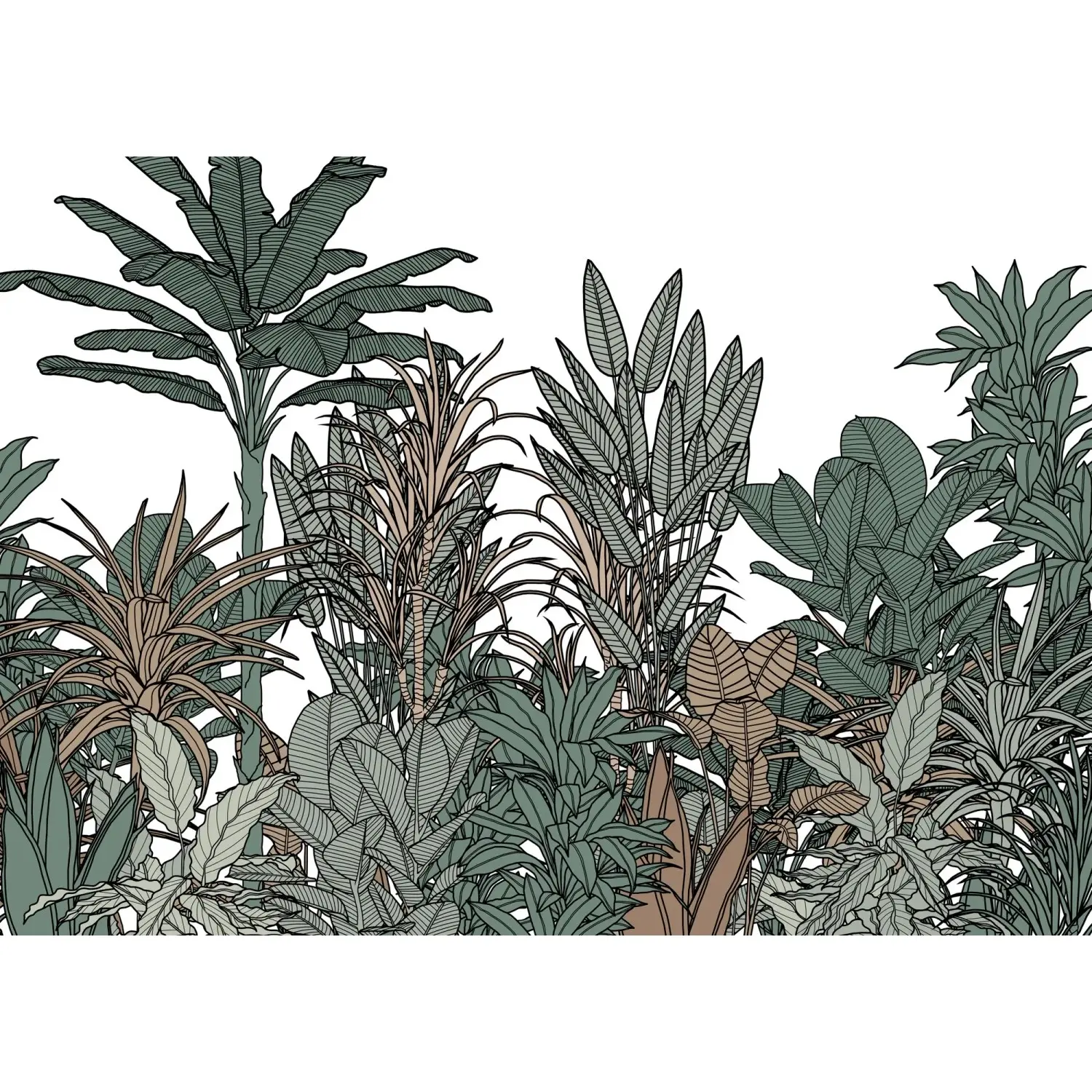 Komar Vliesová fototapeta Doodle Plants Color 350 x 250 cm