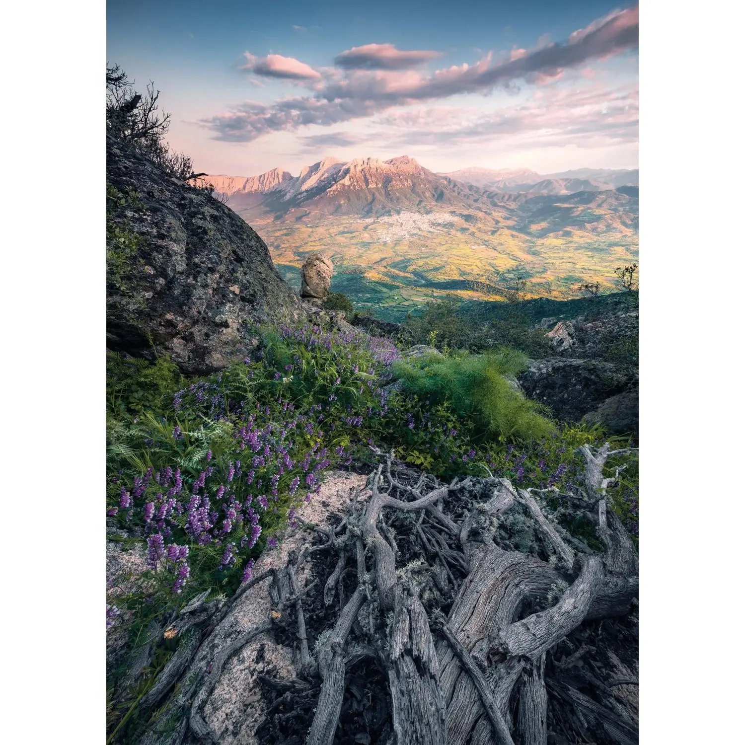 Komar Vliesová fototapeta Flowering Tales 200 x 280 cm