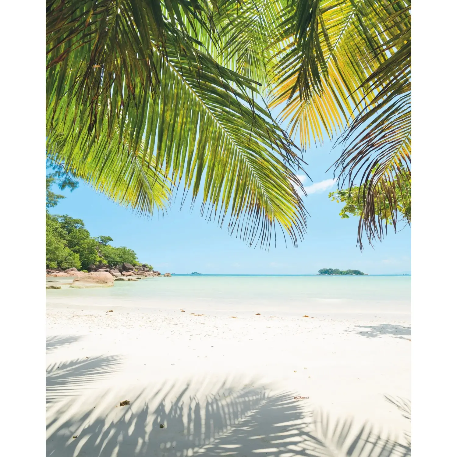 Komar Vliesová fototapeta Under The Palmtree 200 x 250 cm