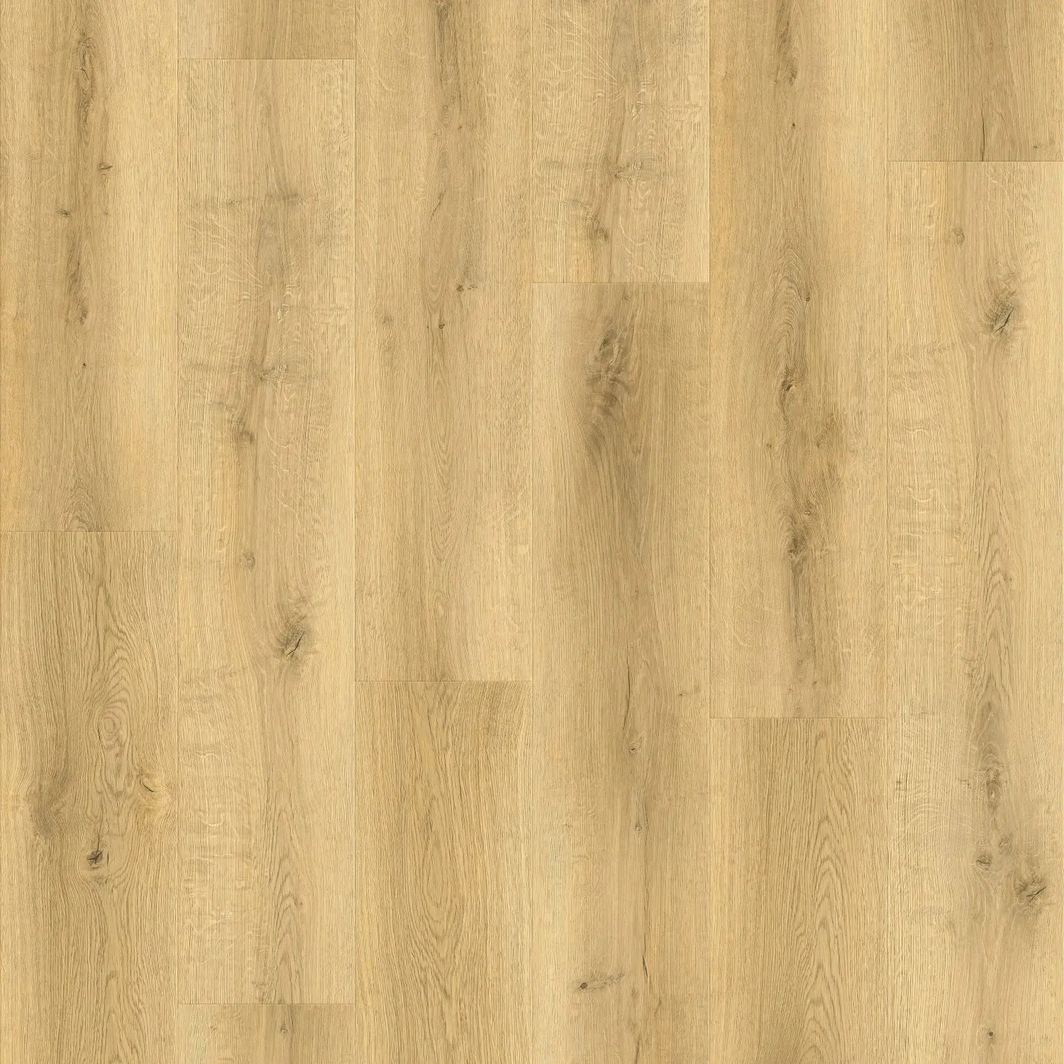 Decoflooring Vinylová podlaha SPC+KORK, dub Bergen, 229 x 1220 x 6,0+1,0 mm