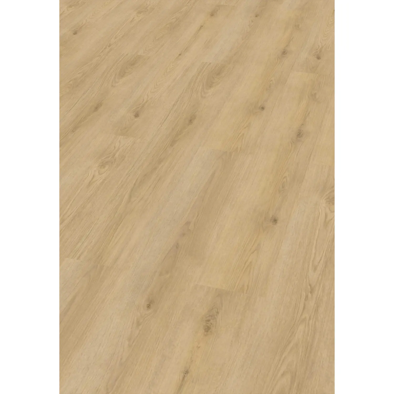 Check ONE Vinylová podlaha Standard Long&Wide 2484 dub Marienthal 1524x228x6,5mm