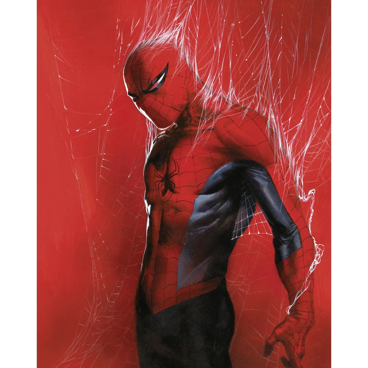 Komar Plakát Marvel Spider-Man Through the Spider Web 40 cm x 50 cm