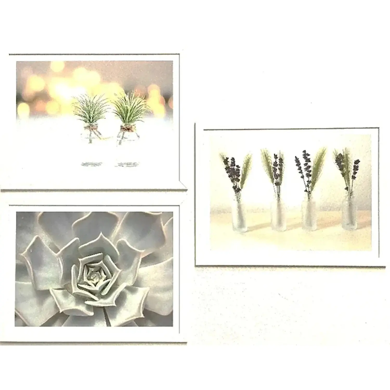Bondecor Sada obrazů Succulent 42 x 98 cm