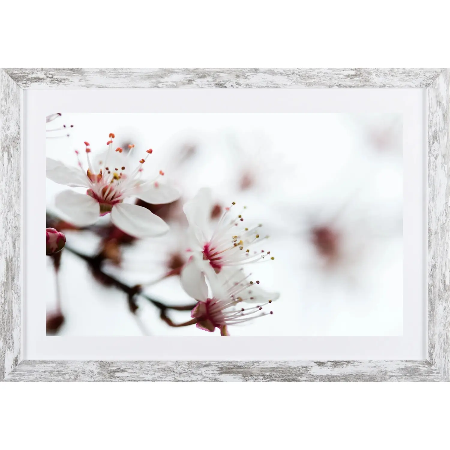 Bondecor Obraz v moderním rámu Flora 37 x 53 cm