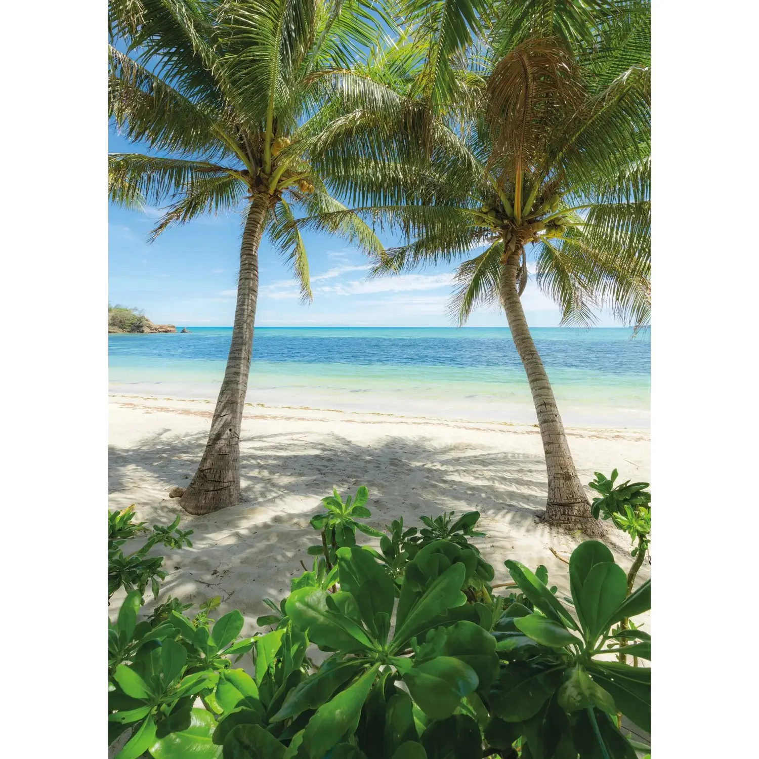 Komar Vliesová fototapeta Palmy Beach 200 x 280 cm
