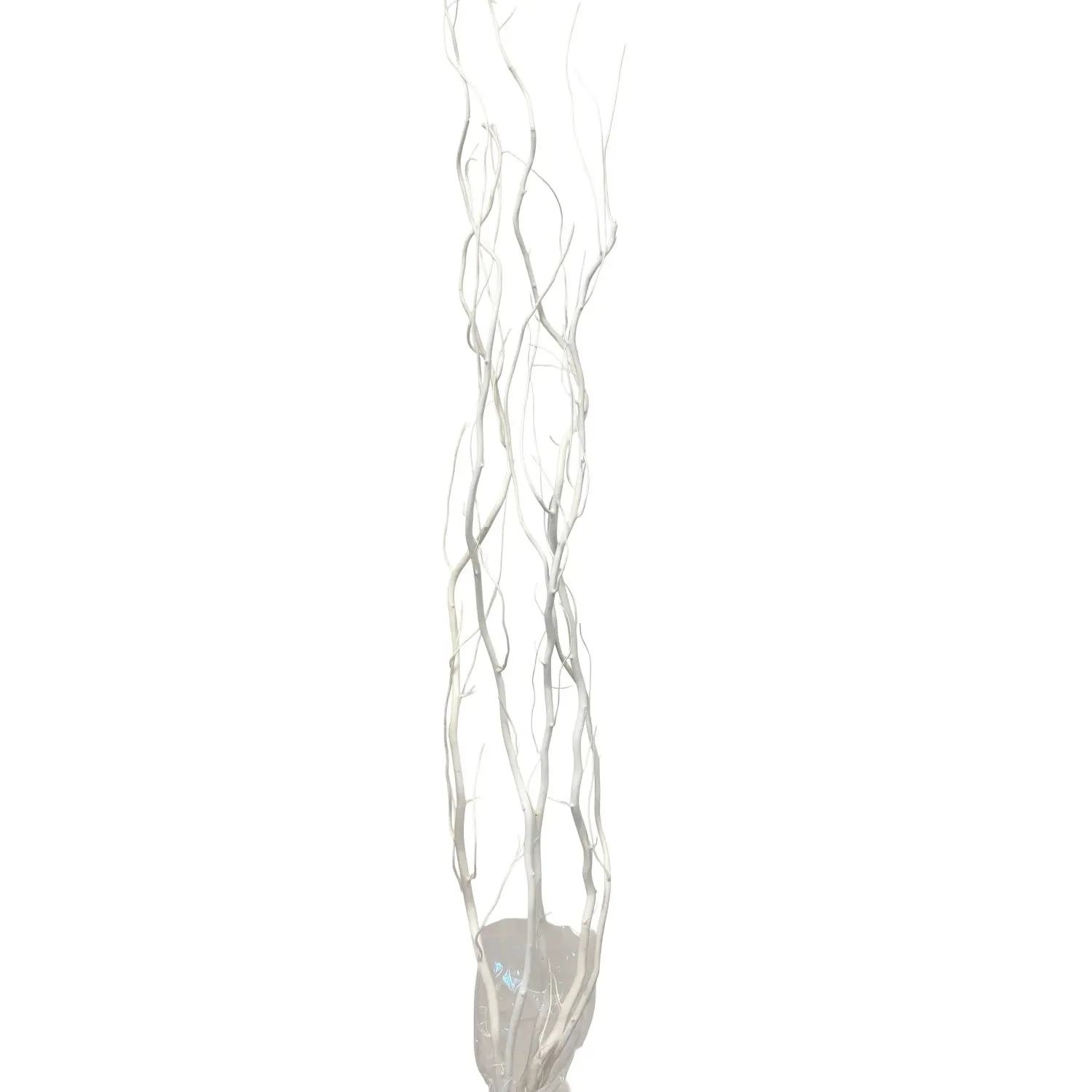 Star Home Decor Vrbové větvičky svazek Salix bílé 120 cm