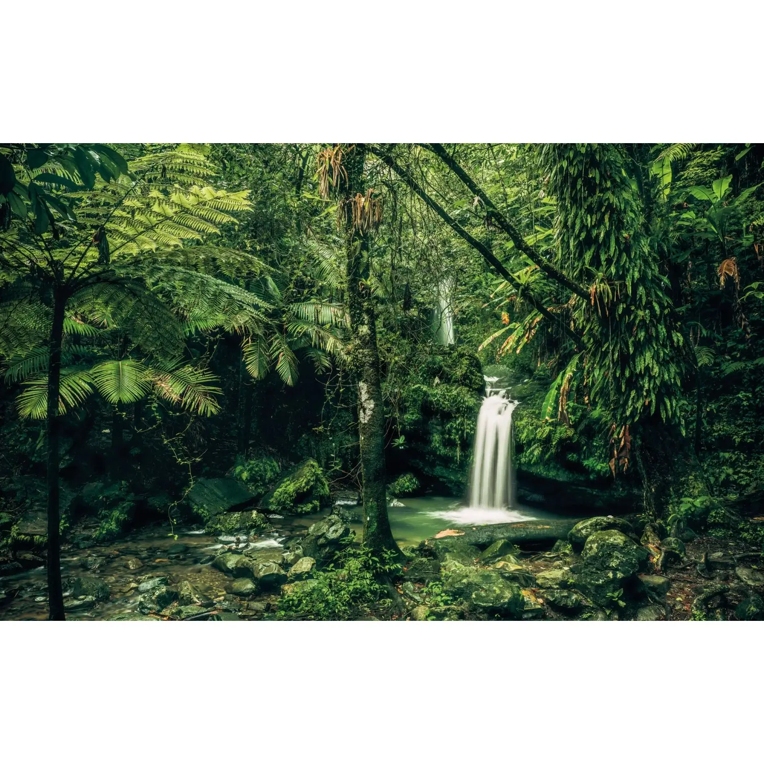 Komar Vliesová fototapeta My Hidden Treasure 400 x 250 cm