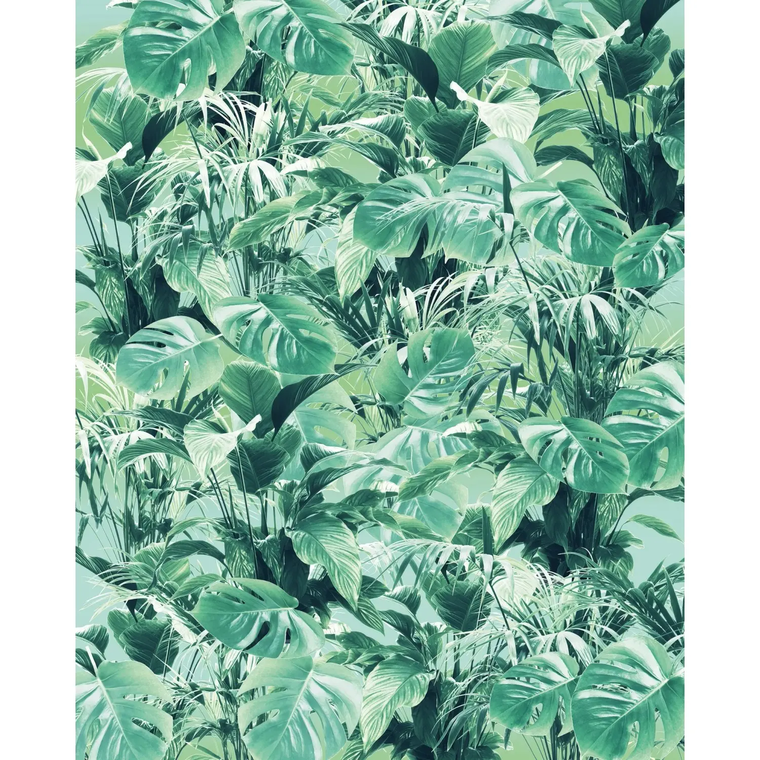 Komar Vliesová fototapeta Evergreen 200 x 250 cm