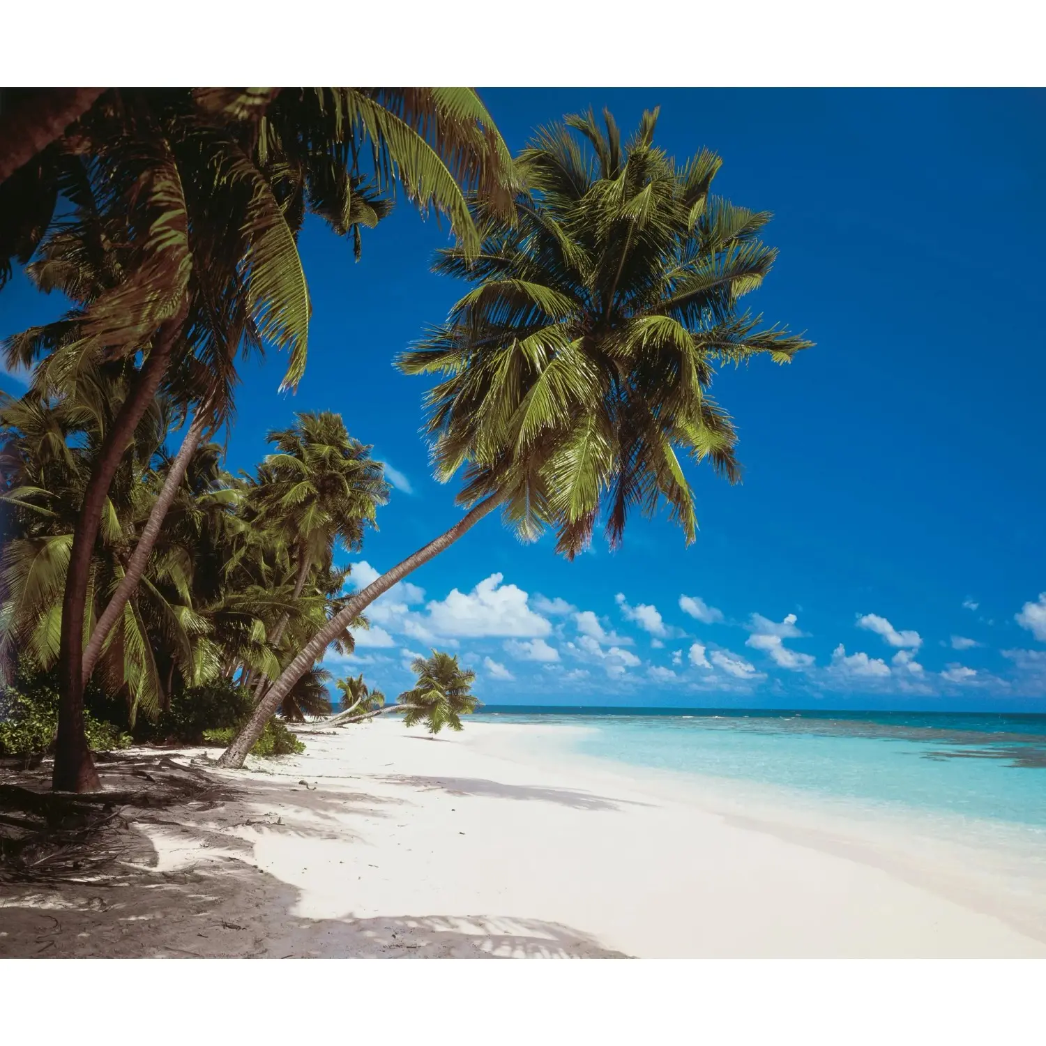 Komar Vliesová fototapeta Maldives 300 x 250 cm