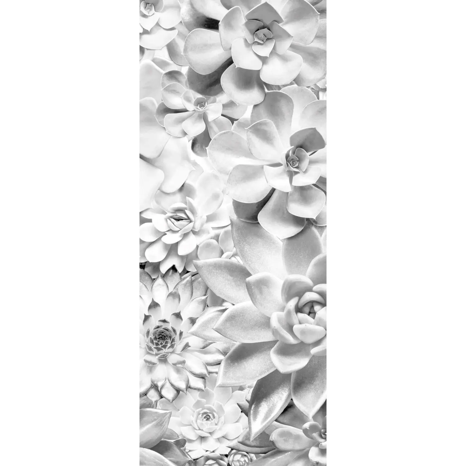 Komar Vliesová fototapeta Shades Black and White Panel 100 x 250 cm