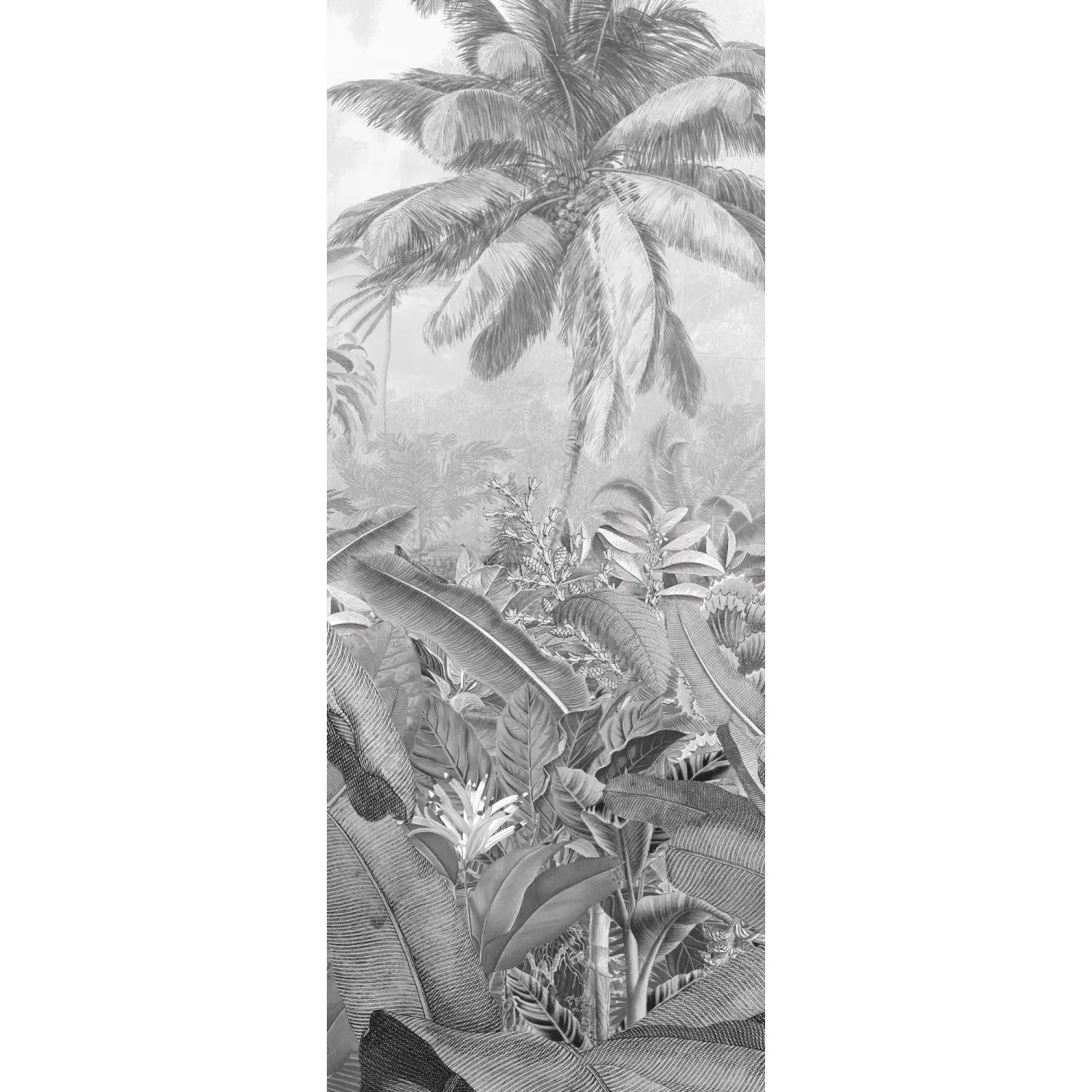 Komar Vliesová fototapeta Amazonia Black and White 100 x 250 cm