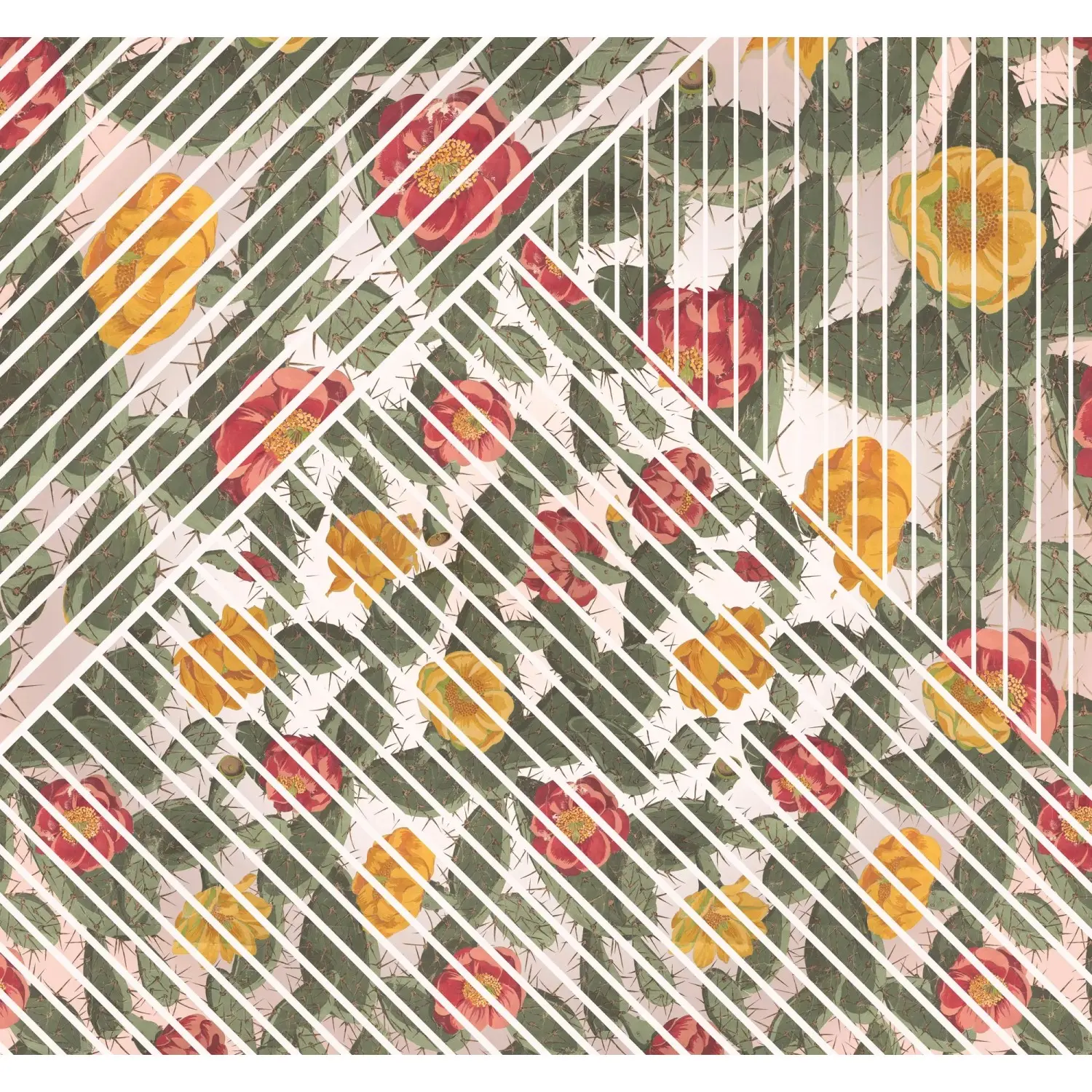 Komar Vliesová fototapeta Cactus 300 x 280 cm