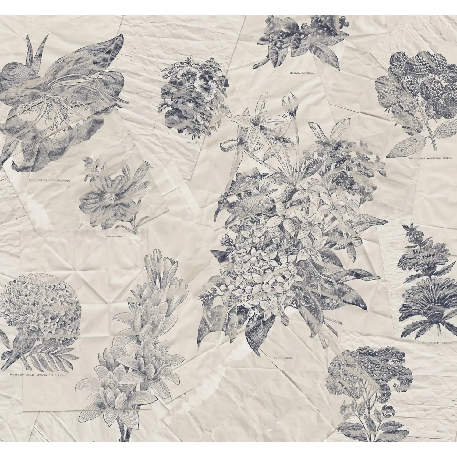 Komar Vliesová fototapeta Botanical Papers 300 x 280 cm