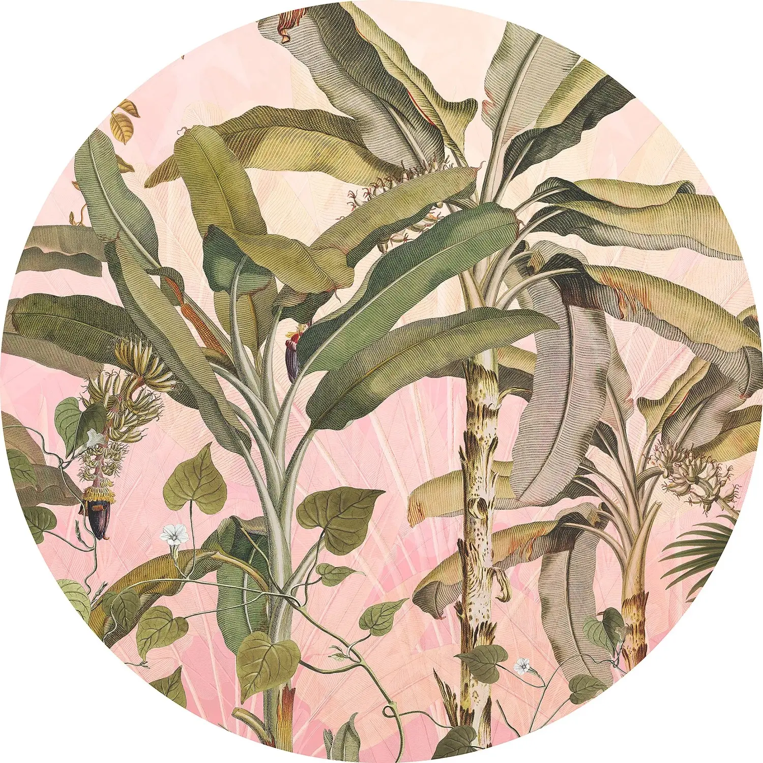 Komar Samolepicí vliesová fototapeta Dot Botany pr. 125 cm