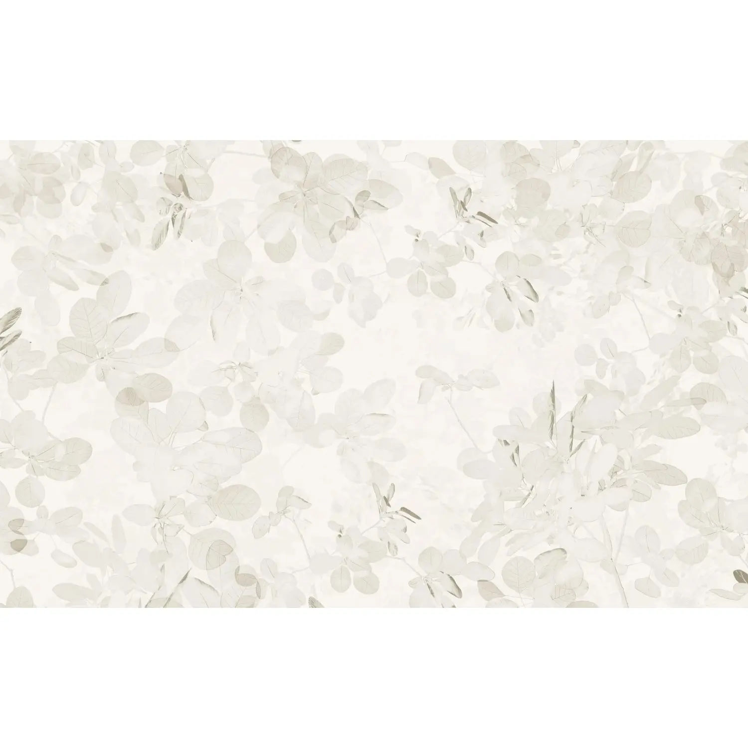 Komar Vliesová fototapeta Sheer Grey 400 x 250 cm