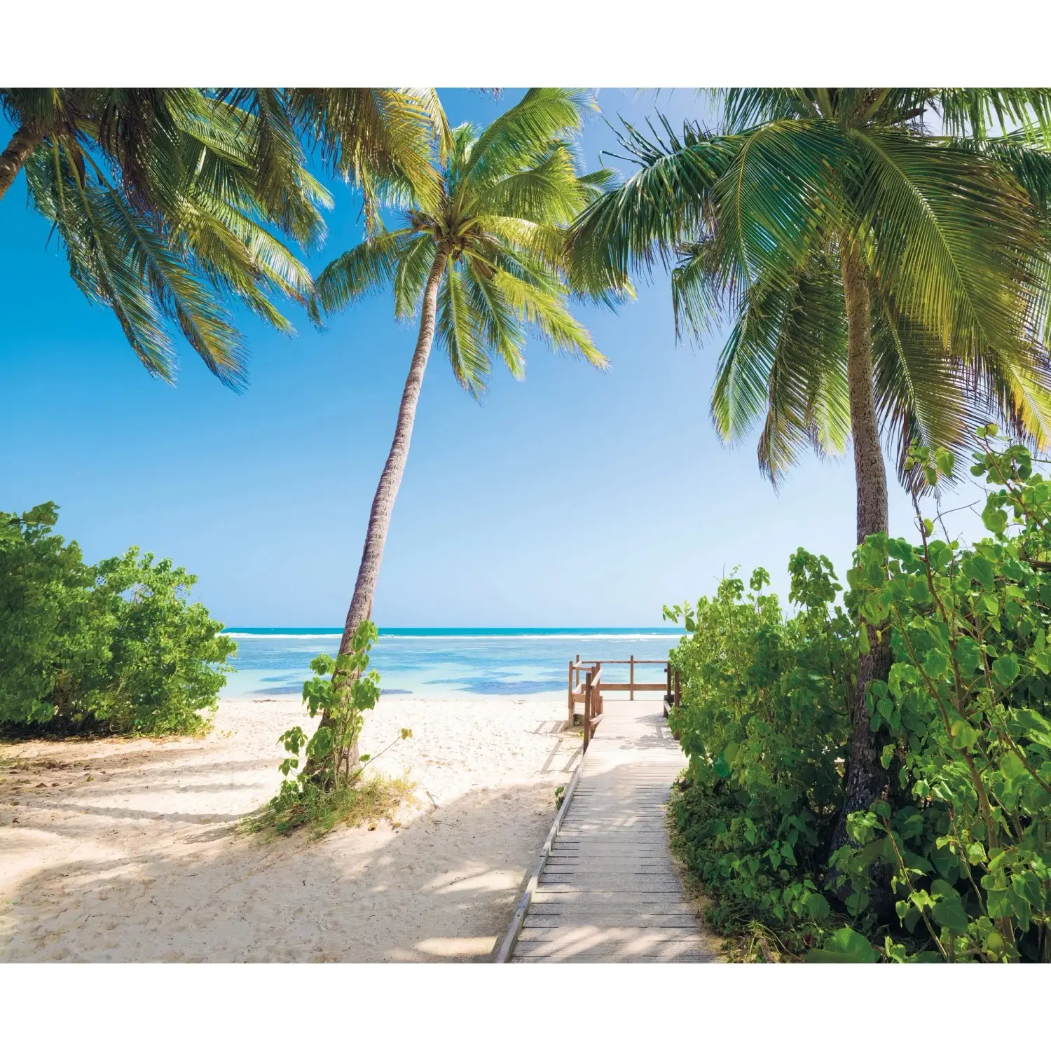 Komar Vliesová fototapeta Palmy Beach 300 x 250 cm