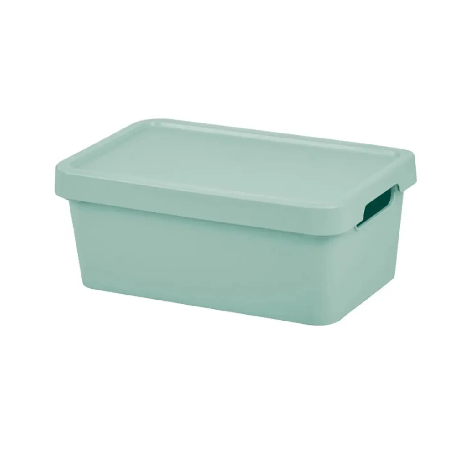 Tontarelli Úložný box s víkem MAYA zelený 4,2 l