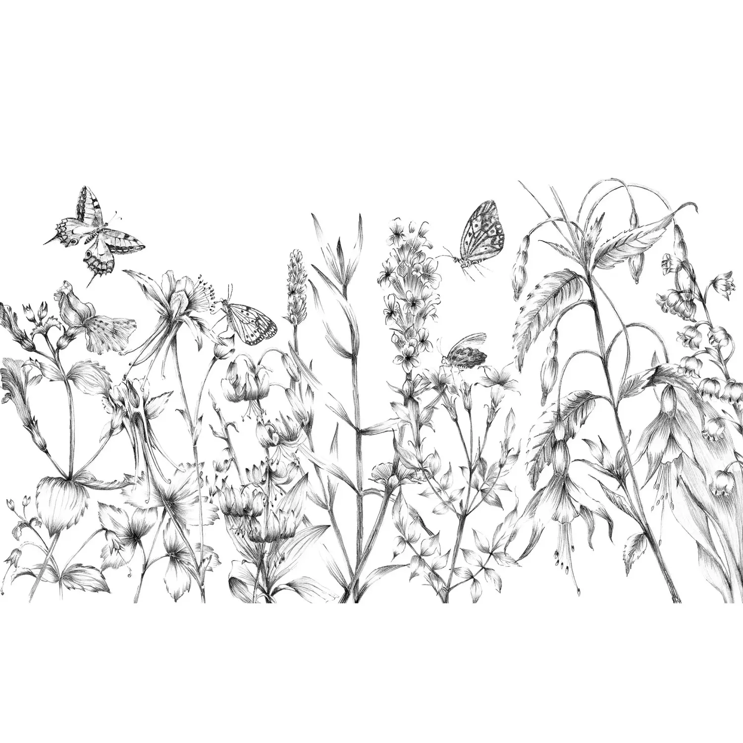 Komar Vliesová fototapeta Butterfly Field 400 x 250 cm