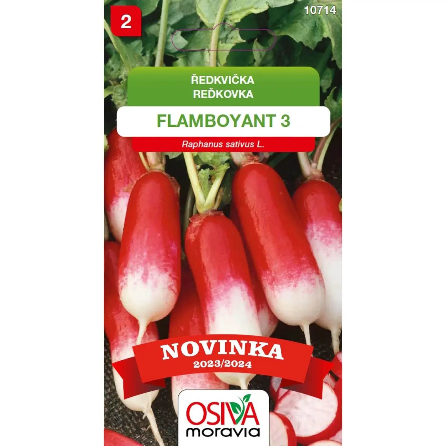 Aros Semena Ředkvička Flamboyant (Raphanus sativus)