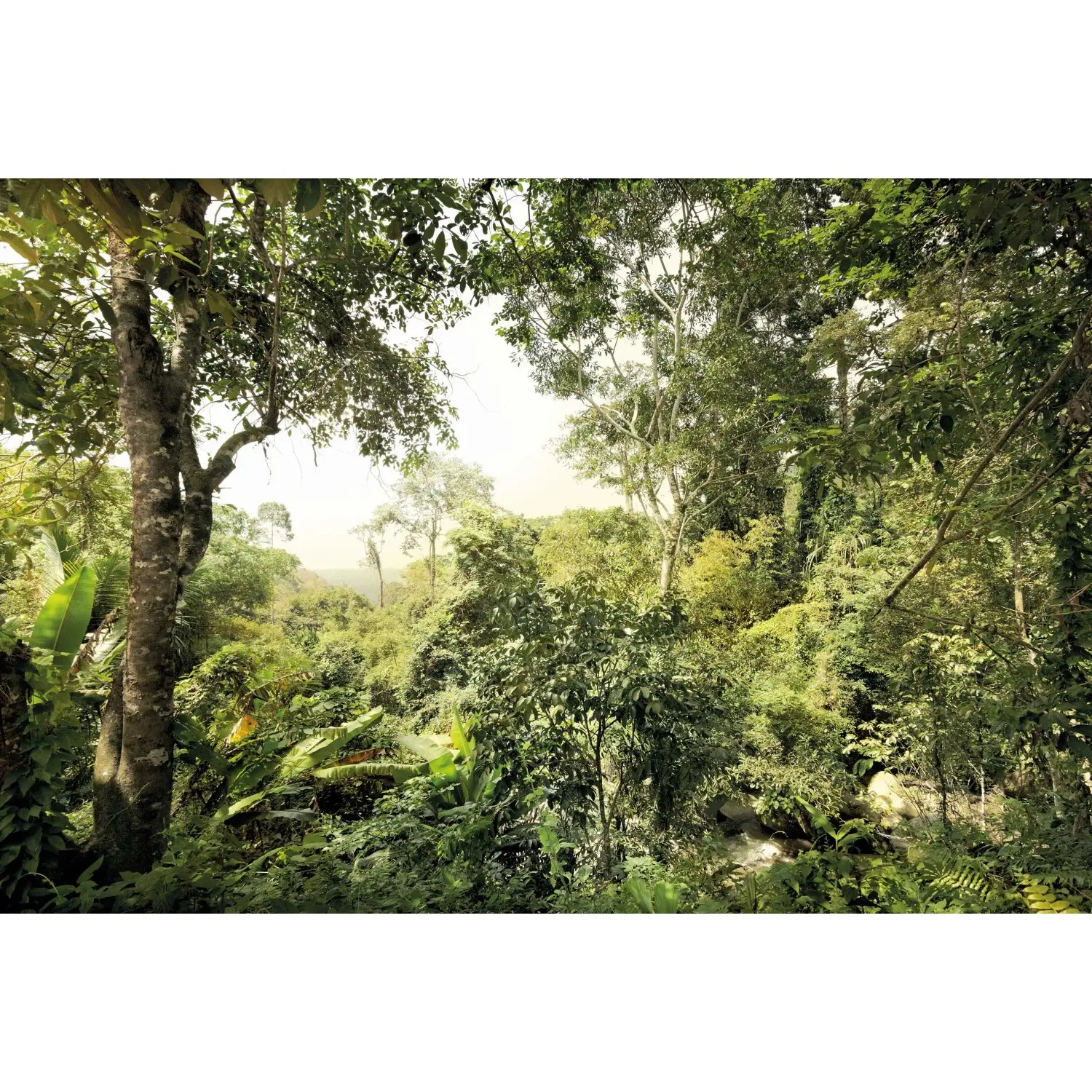 Komar Vliesová fototapeta Djungle 400 x 260 cm