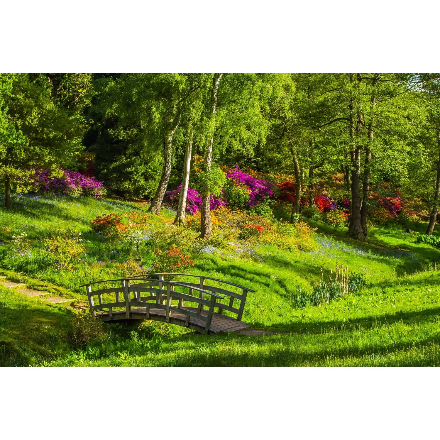 Bondecor Obraz, tištěné plátno Flora 70 x 110 cm