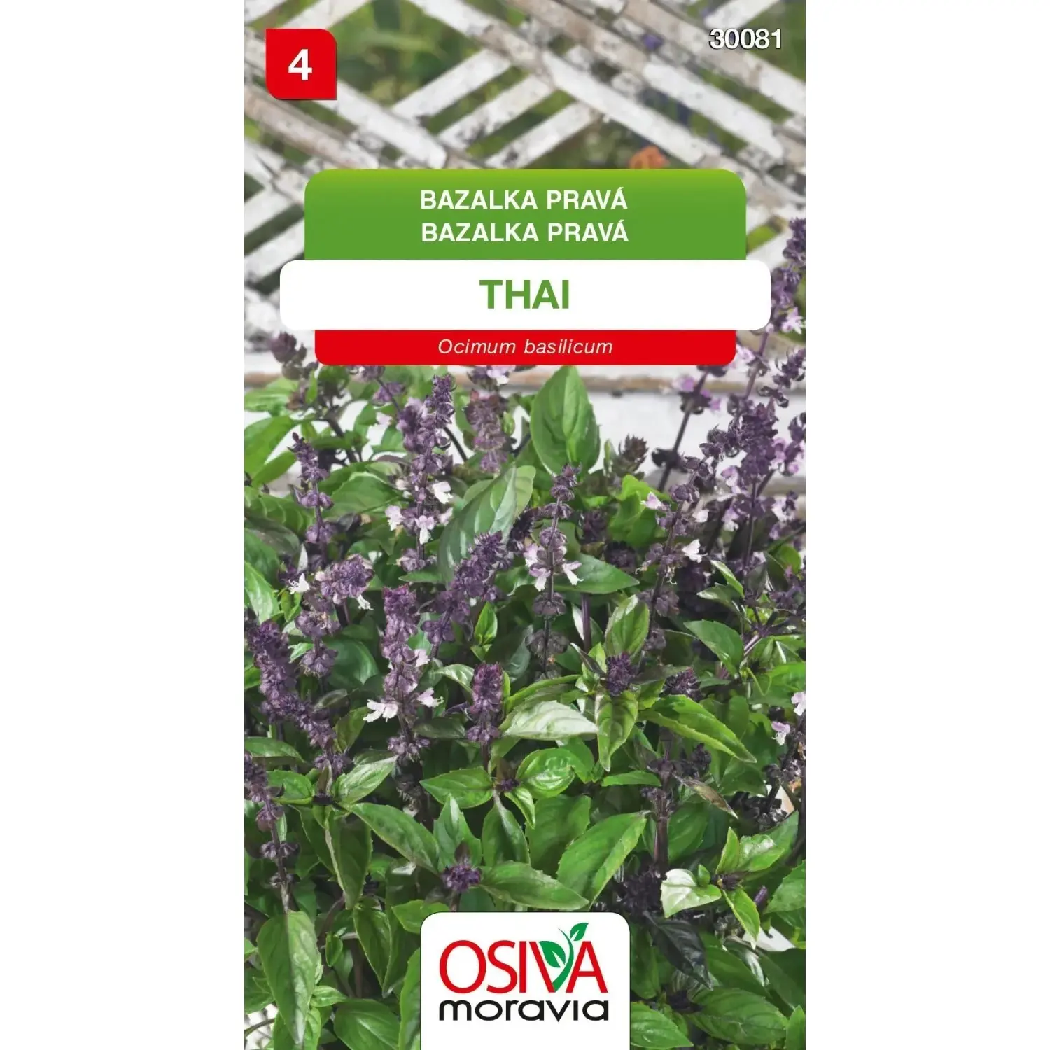 Semínka Bazalka pravá Thai (Ocimum basilicum)
