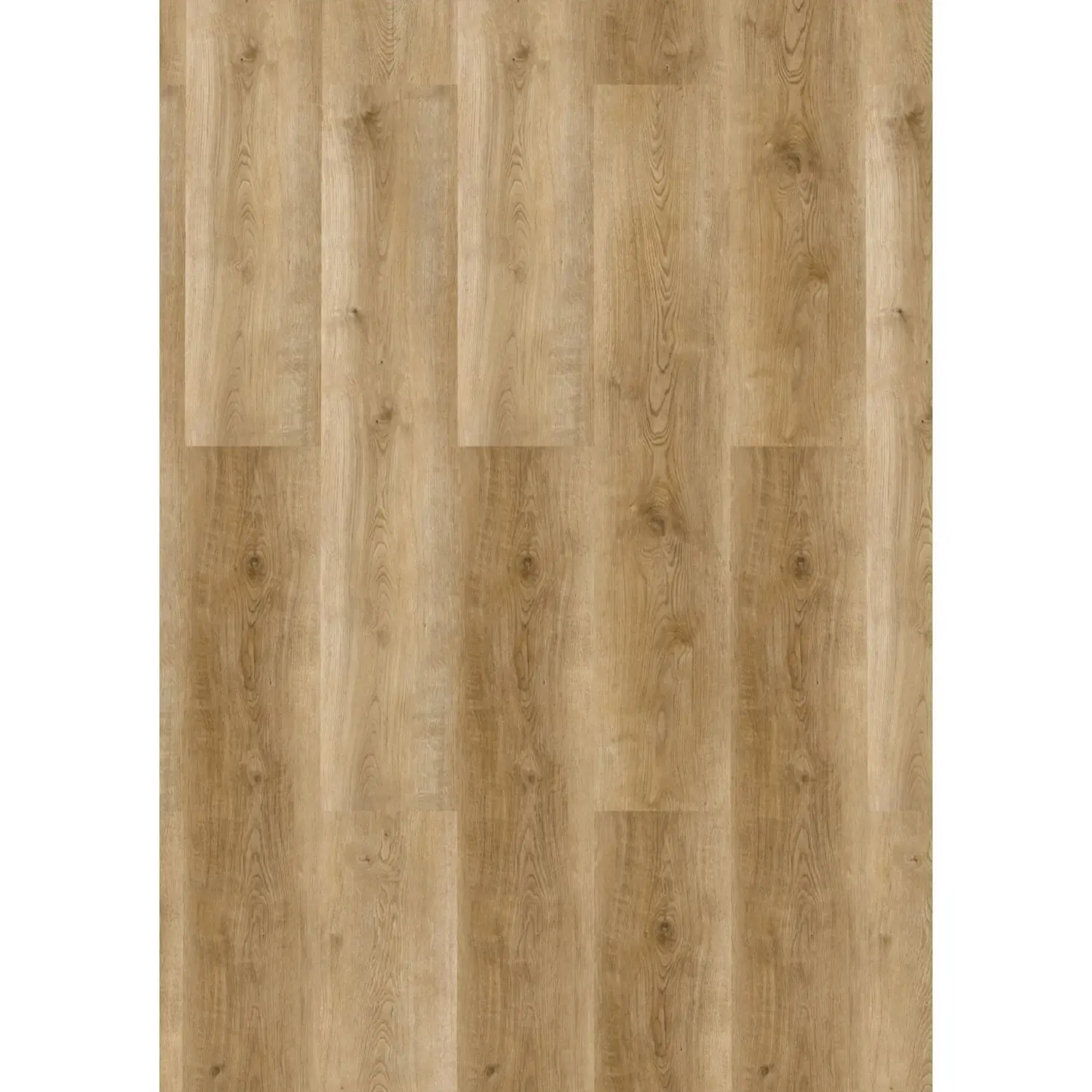Check ONE Vinylová podlaha Basic Wide 2460 dub Griesheim 1220 x 228 x 4,5 mm