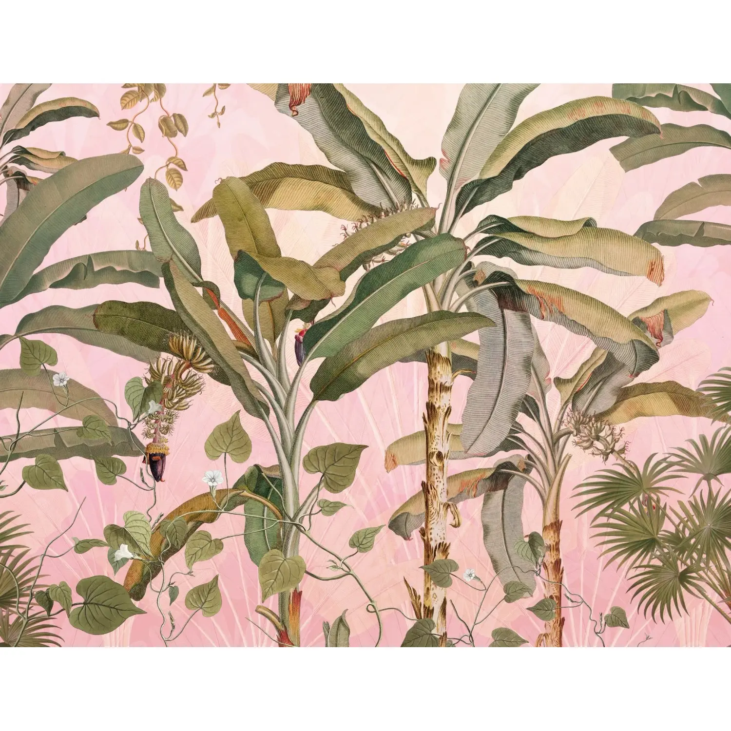 Komar Vliesová fototapeta Plantation 350 x 270 cm
