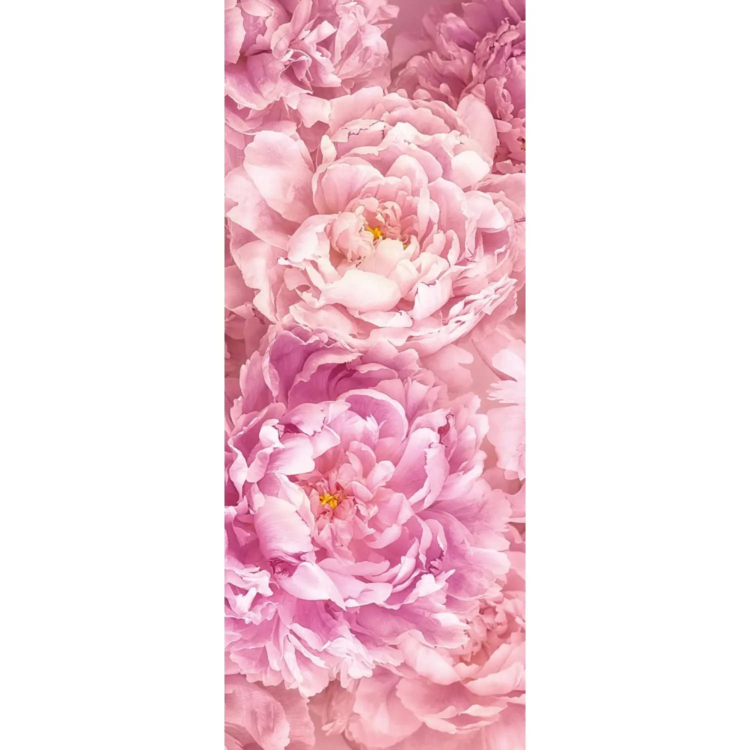 Komar Vliesová fototapeta Soave 100 x 250 cm