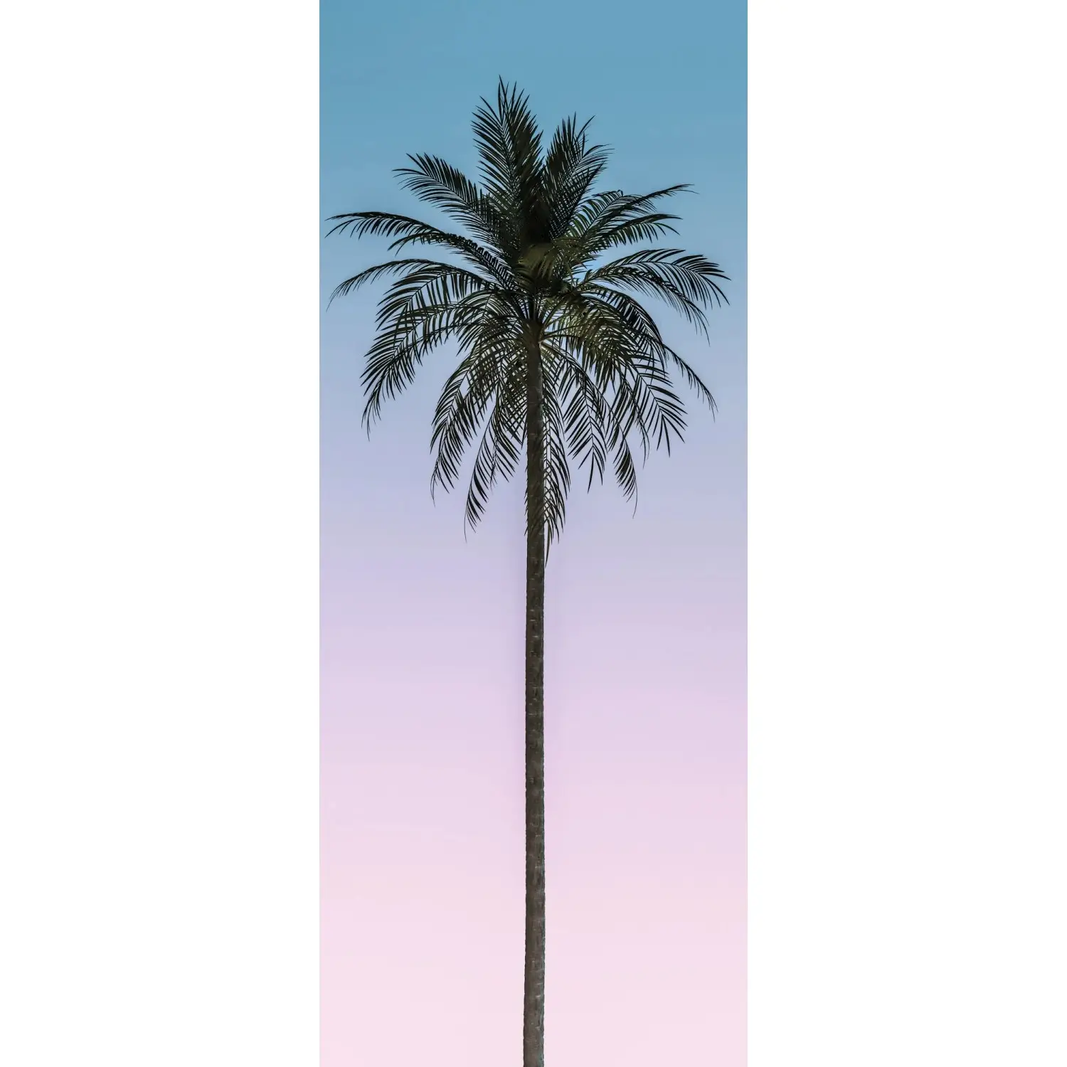 Komar Vliesová fototapeta Skyhigh 100 x 250 cm
