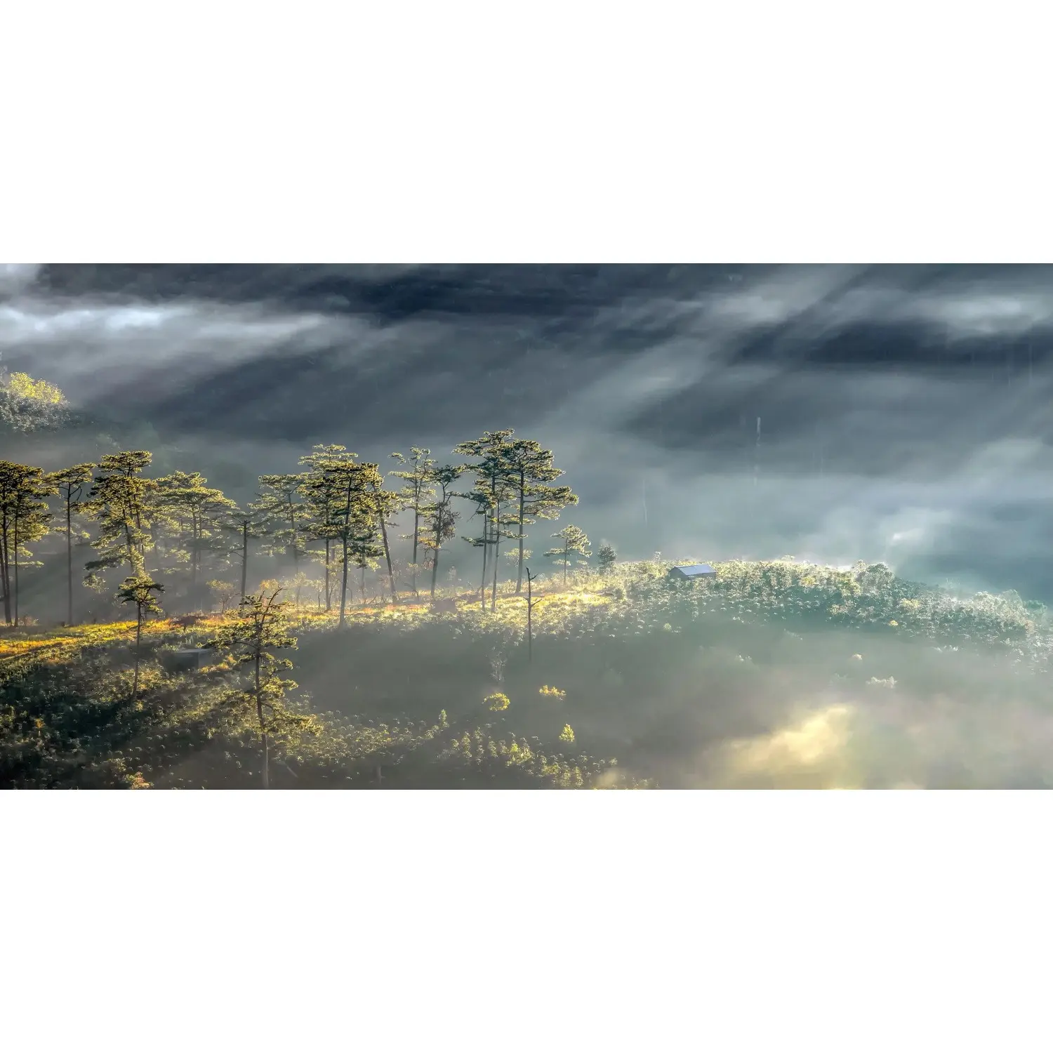 Bondecor Obraz, tištěné plátno Scenerie 50 x 100 cm