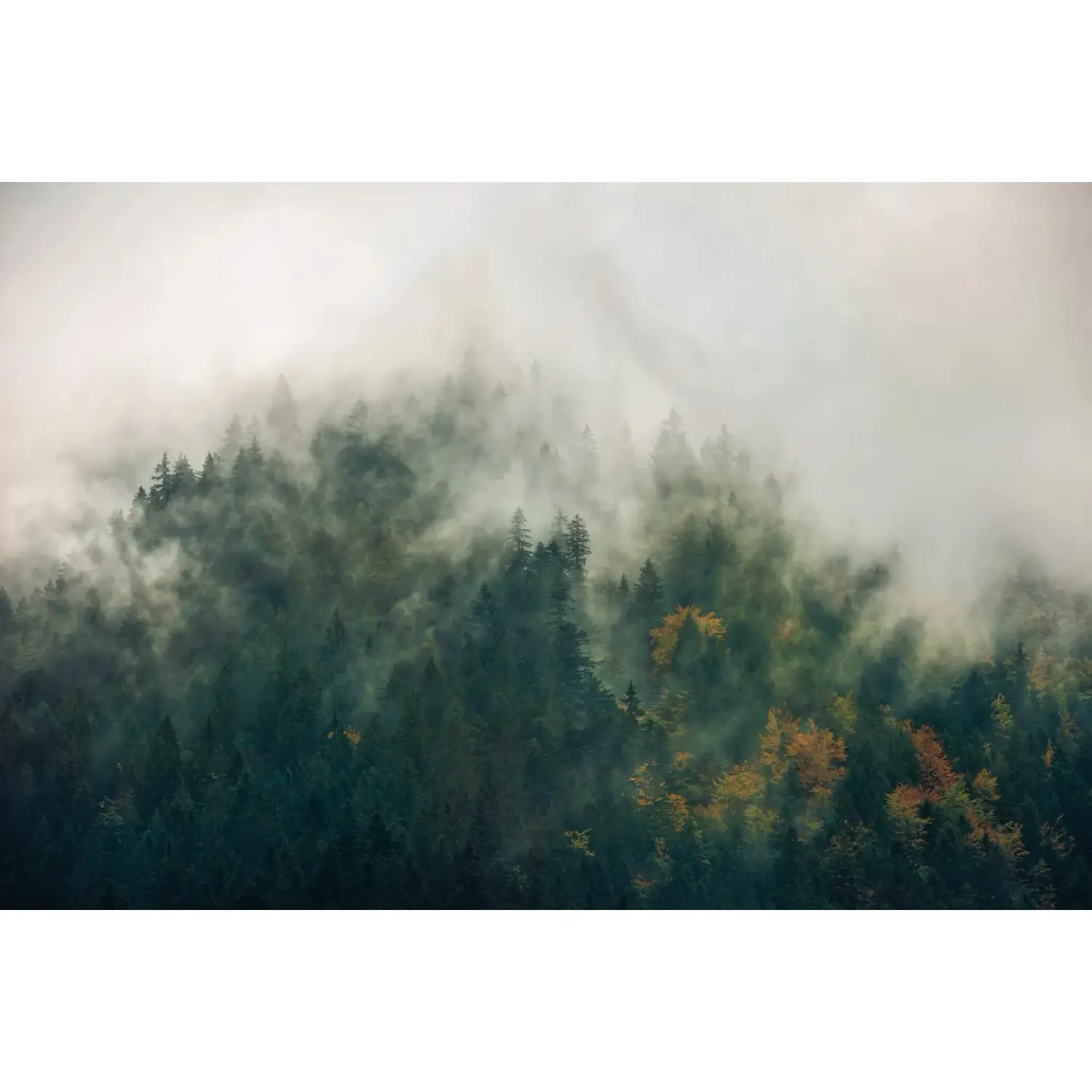 Komar Vliesová fototapeta Tales of the Carpathians, 300 x 200 cm