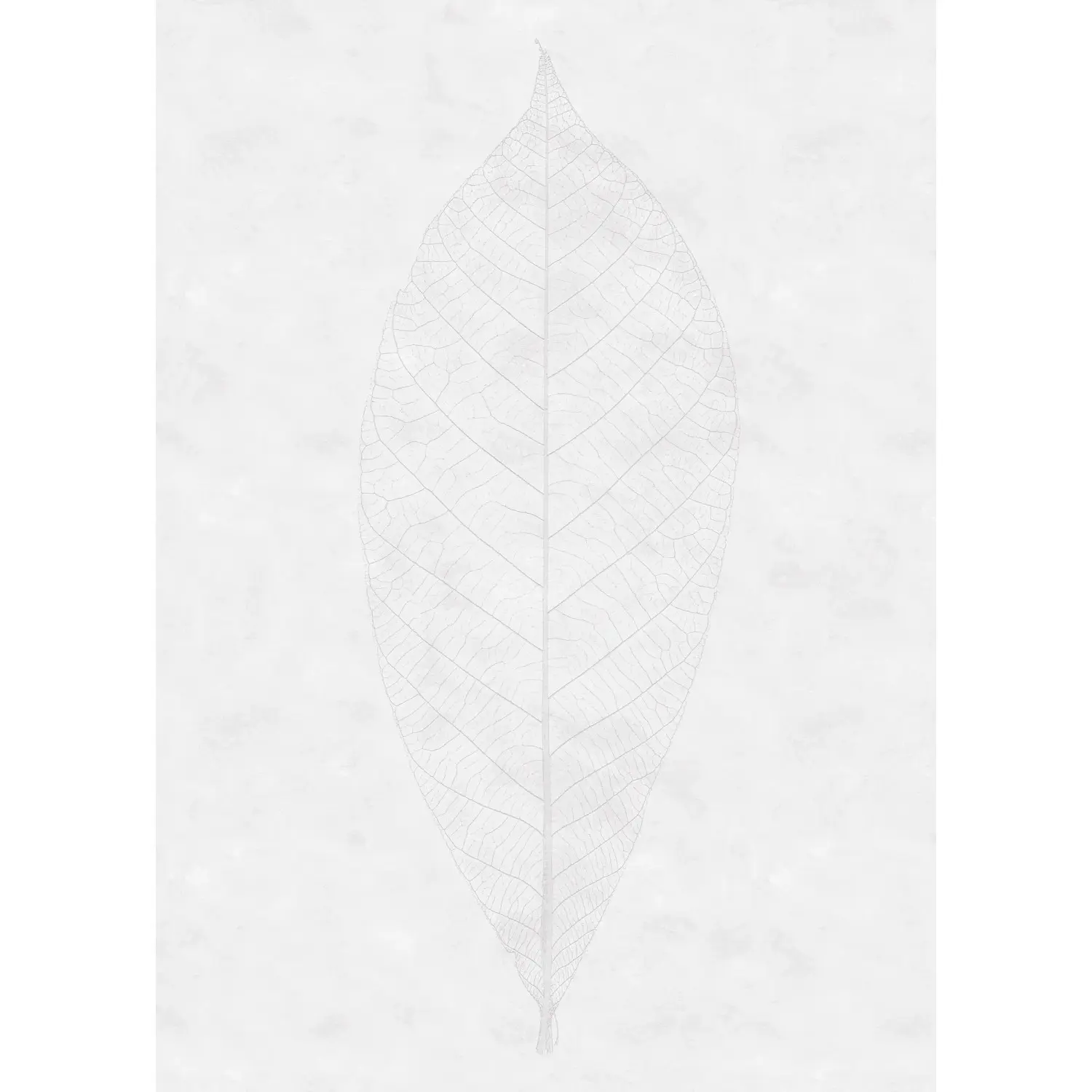 Komar Vliesová fototapeta Decent Leaf 200 x 280 cm
