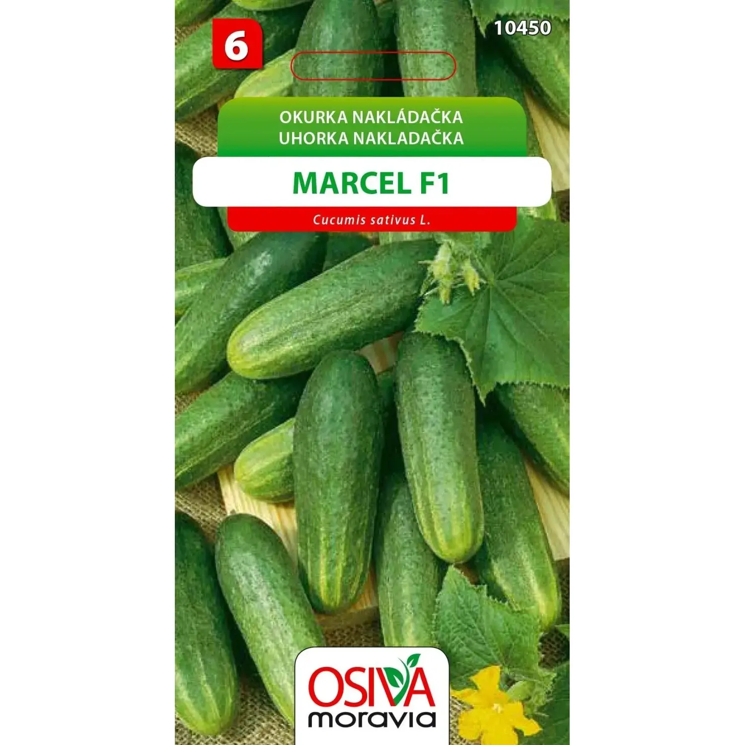 Okurka Nakladačka - Marcel F1 (Cucumis sativus L.)