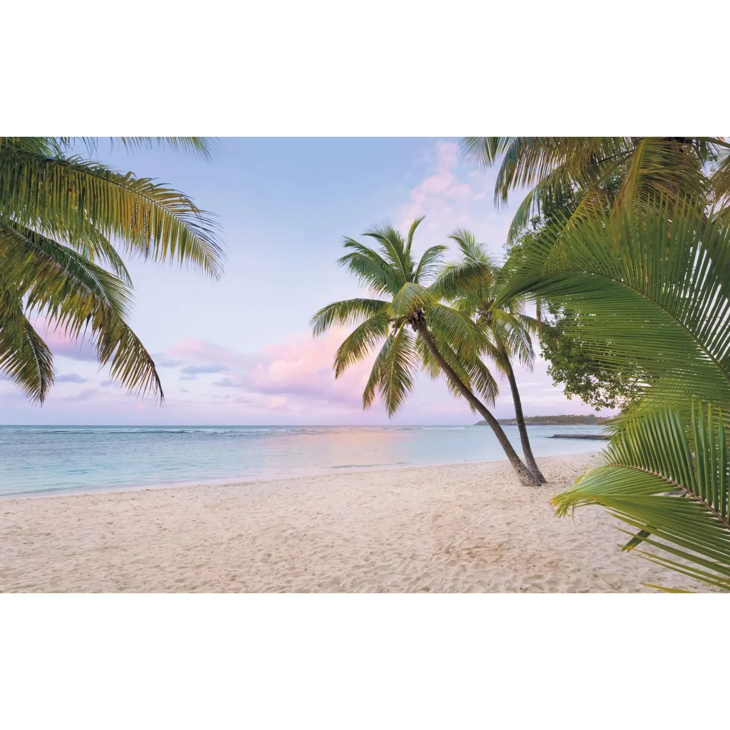 Komar Vliesová fototapeta Paradise Morning 400 x 250 cm
