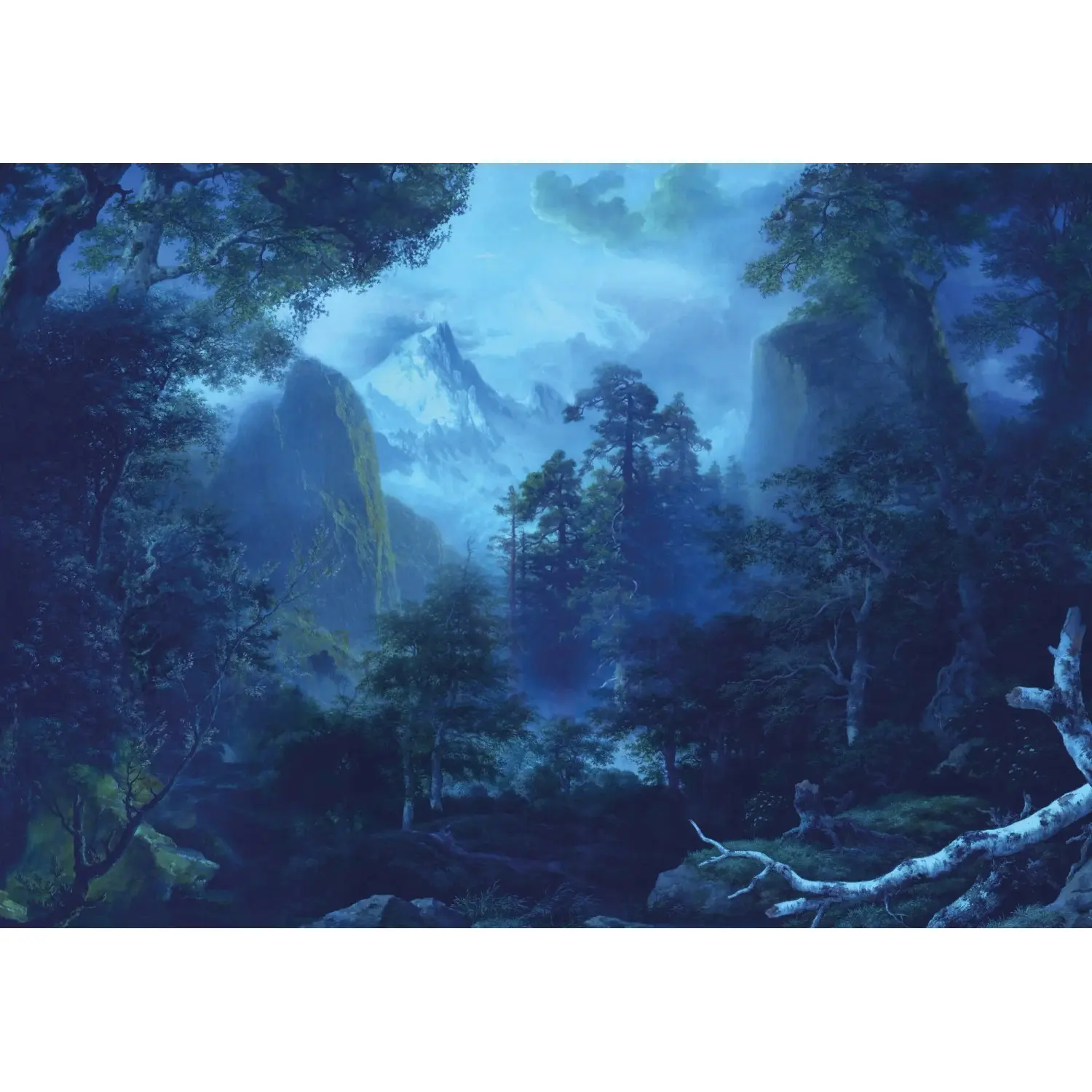 Komar Vliesová fototapeta Midnight 400 x 280 cm