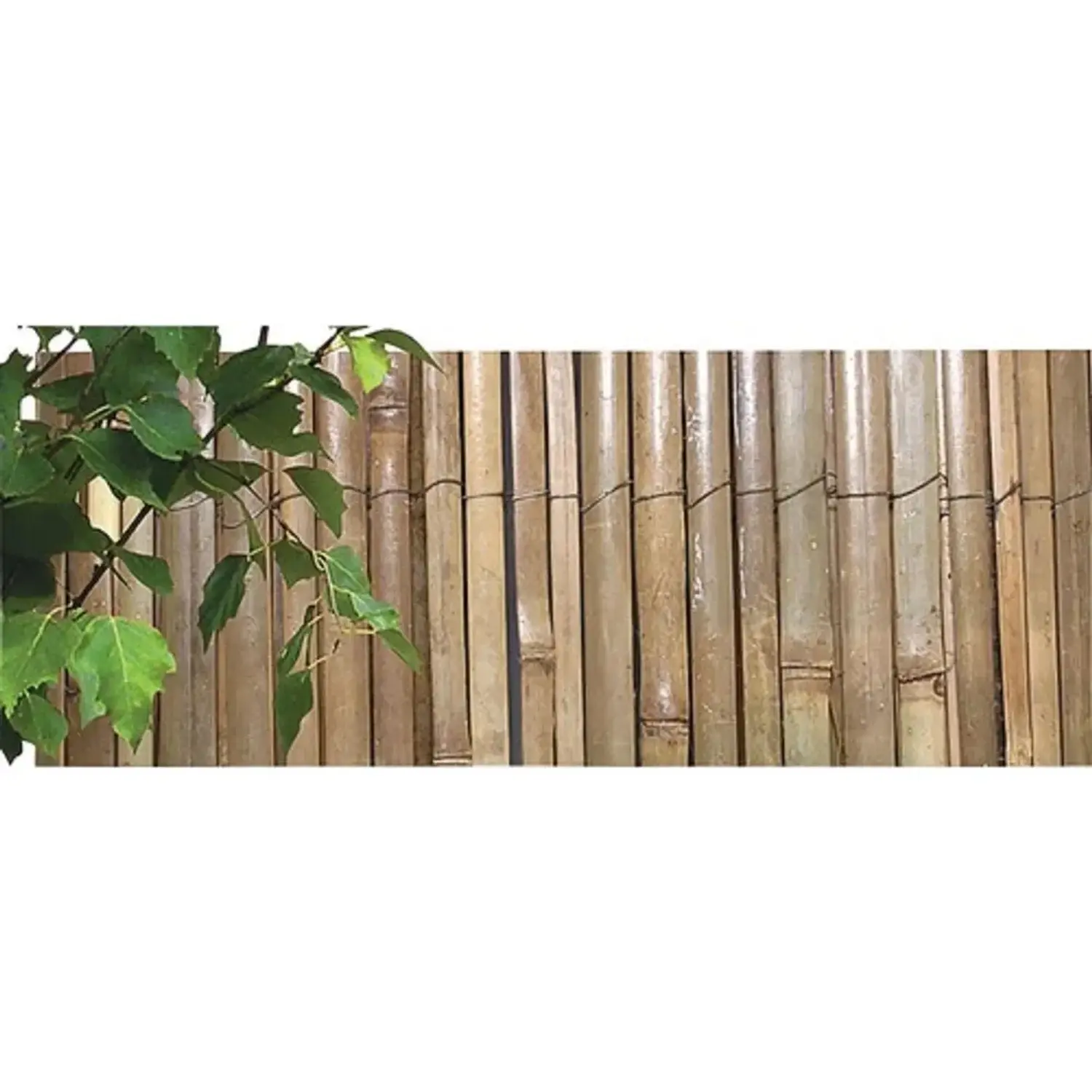 NOHEL GARDEN Bambusová rohož ze štípaného bambusu 2 x 5 m