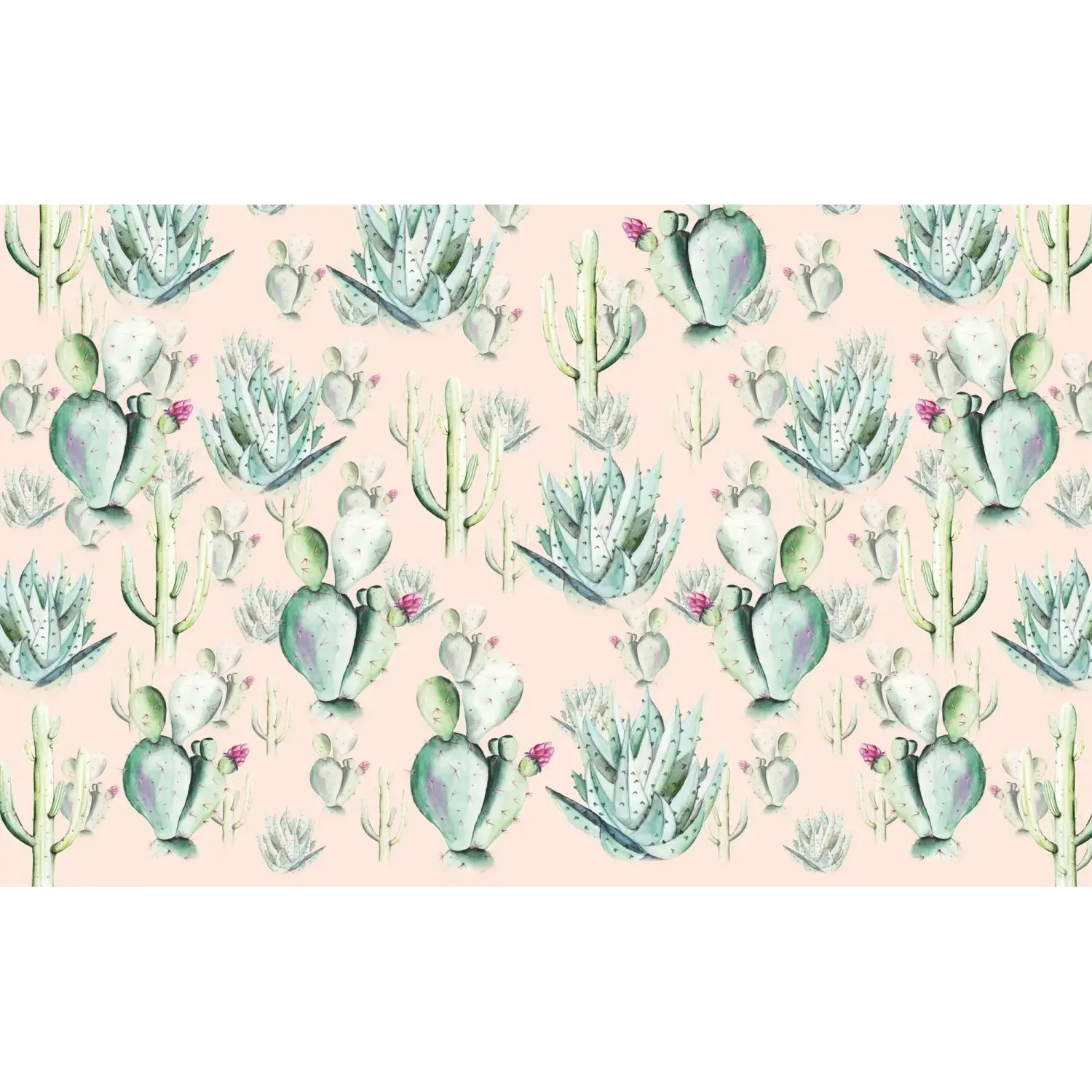 Komar Vliesová fototapeta Cactus Rose 400 x 250 cm